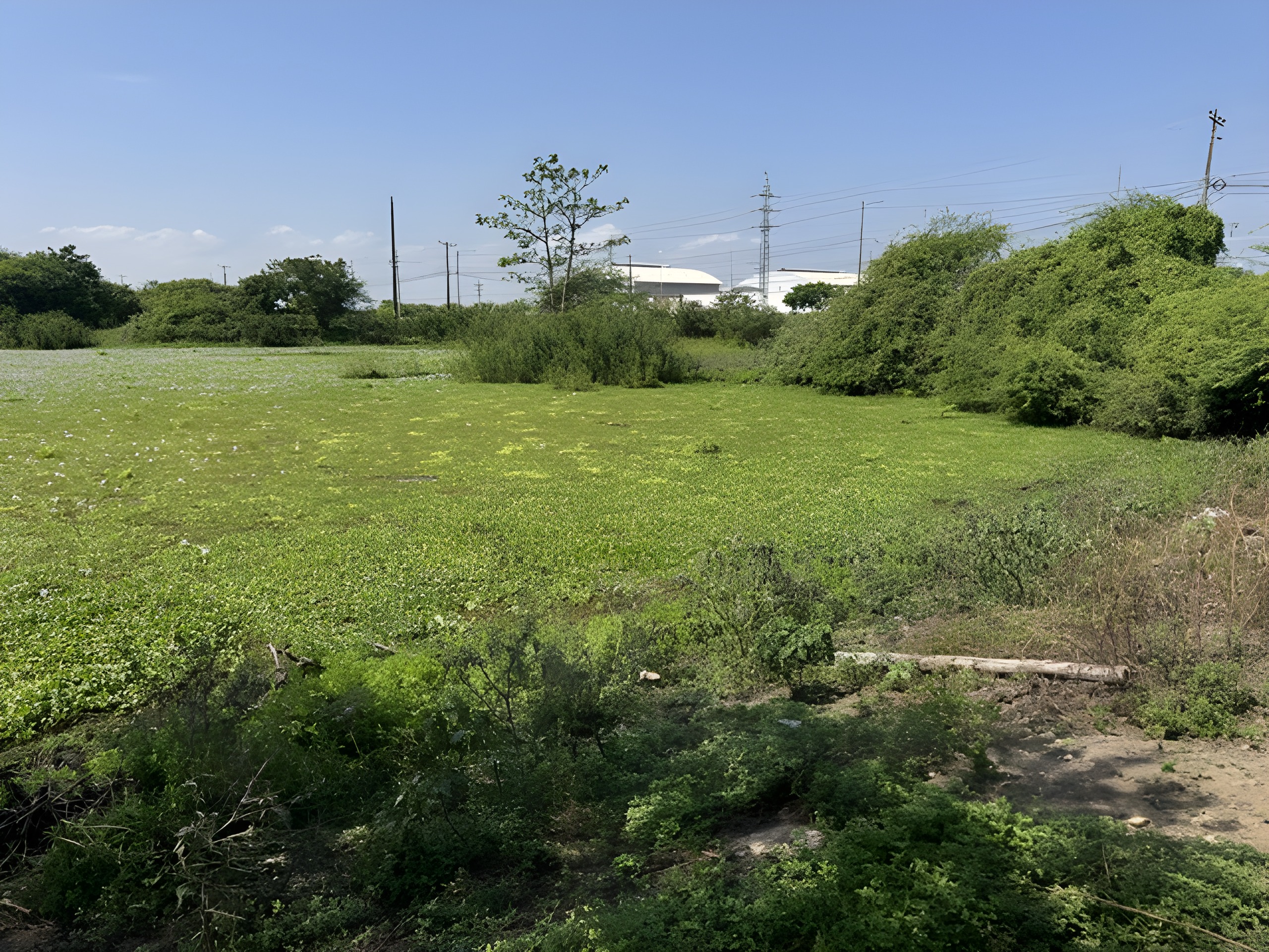 Terreno rural 22 ha - Durán