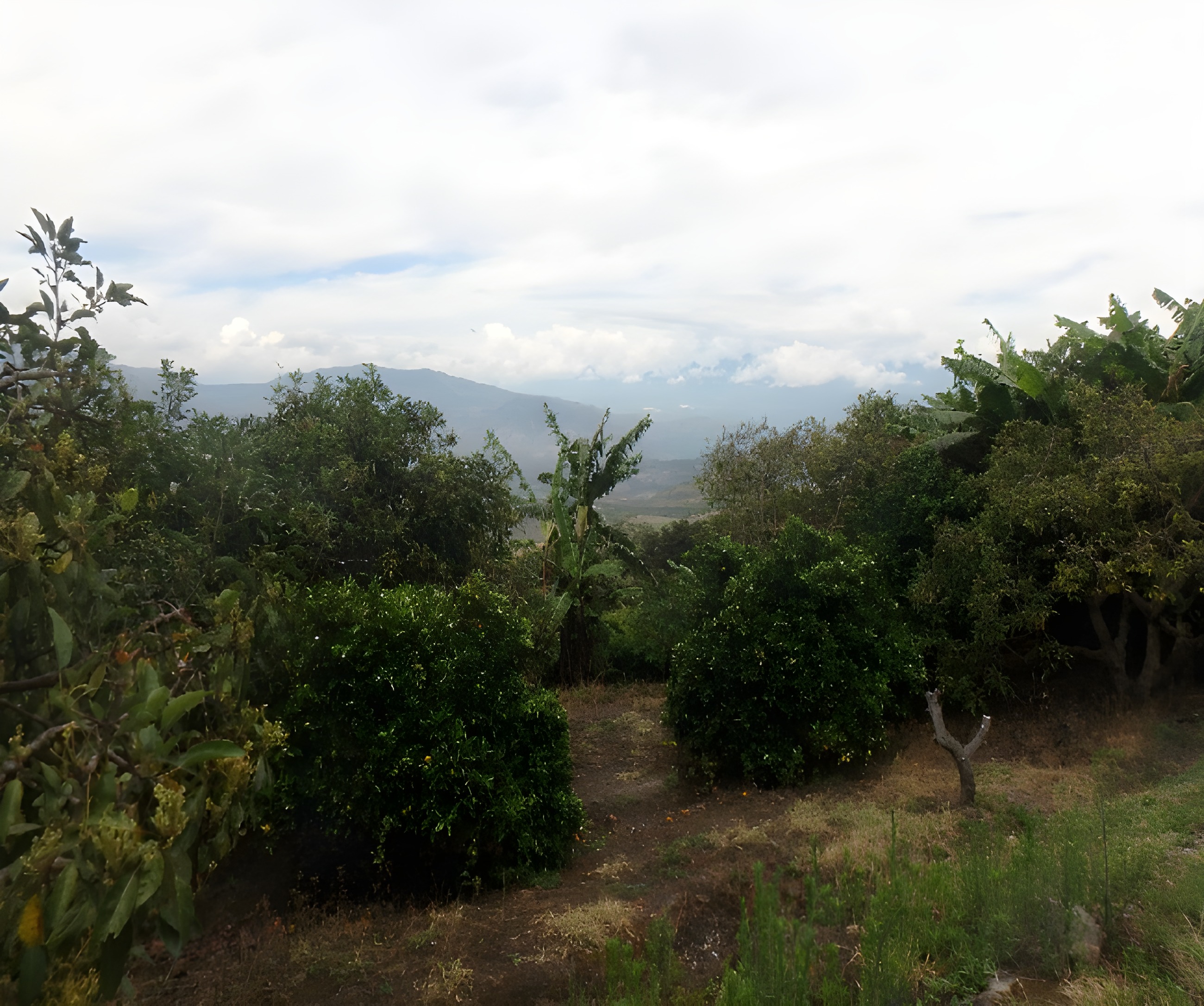 Finca agrícola en El Tambo - Carchi