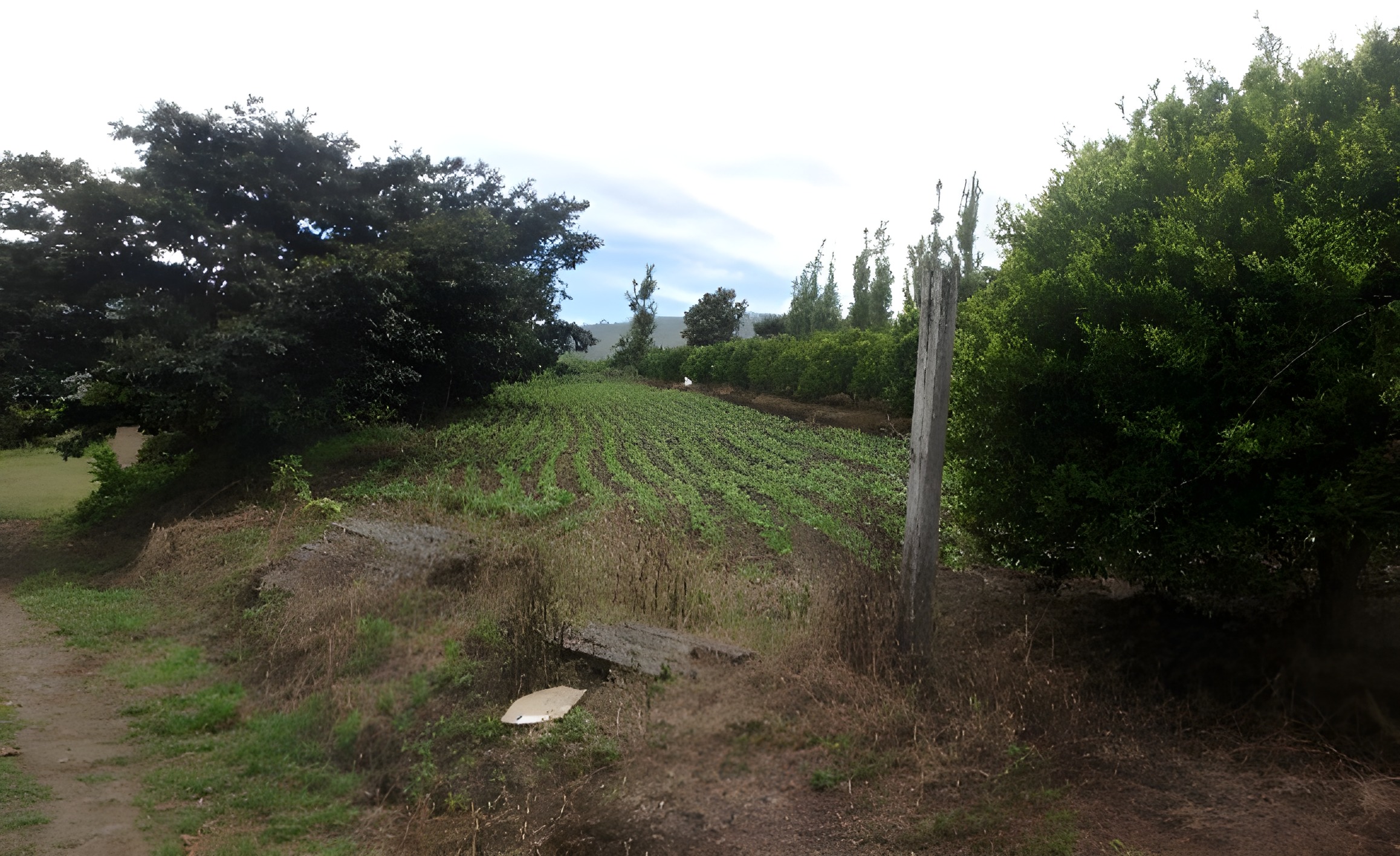 Finca agrícola en El Tambo - Carchi