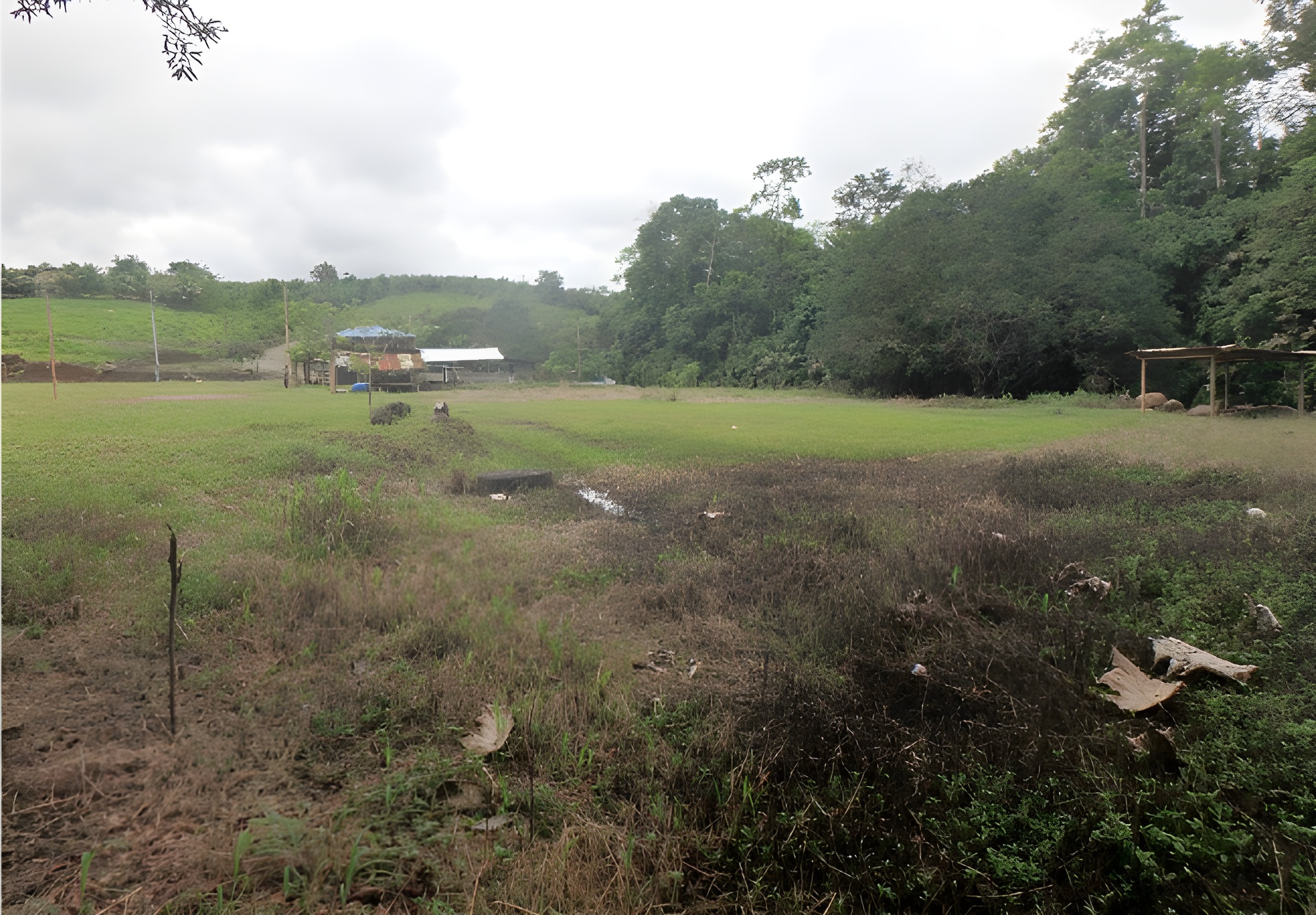 Terreno rural con casa - San Jacinto del Búa