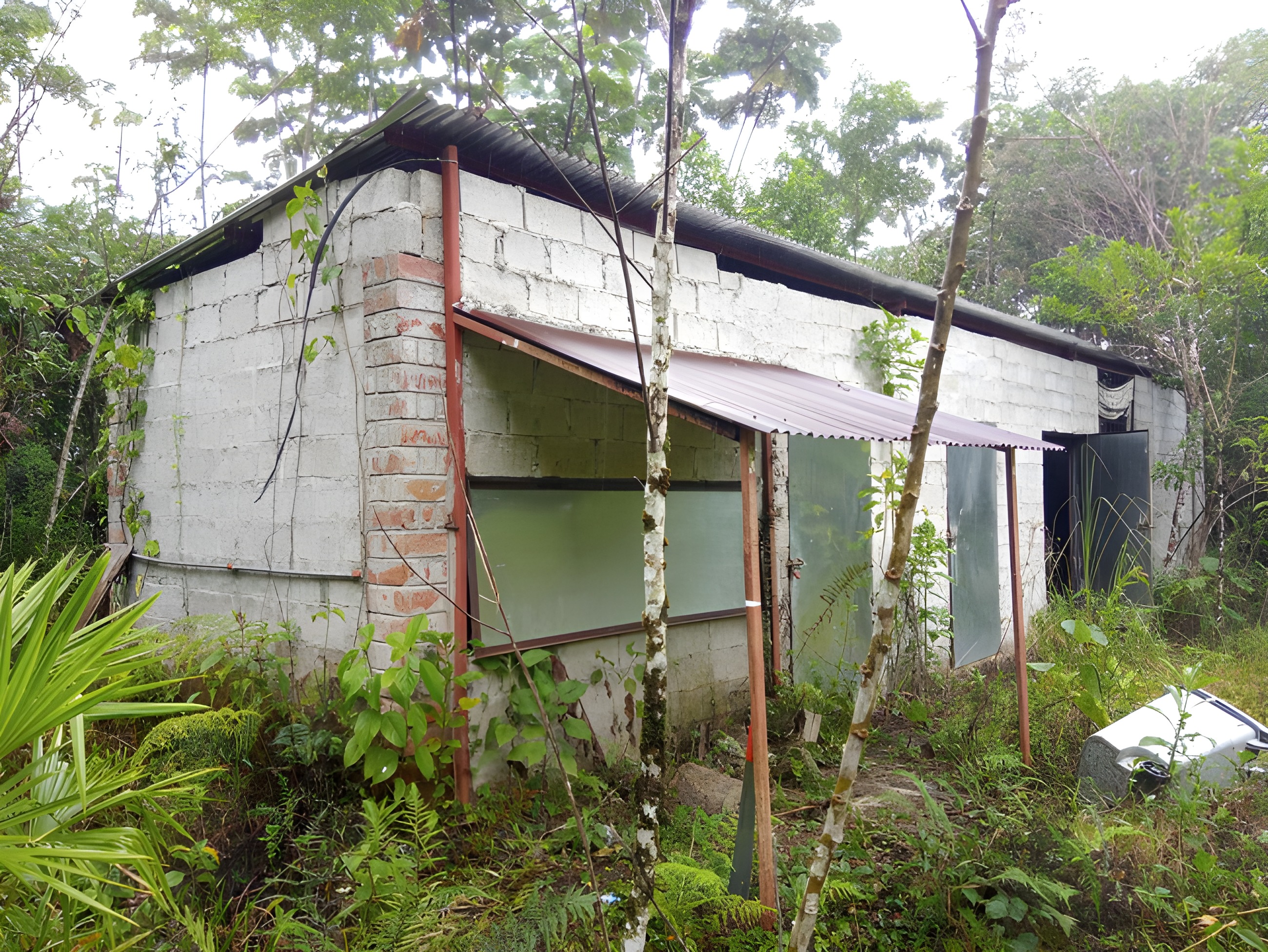 Terreno rural en Ongota - Tena, Napo