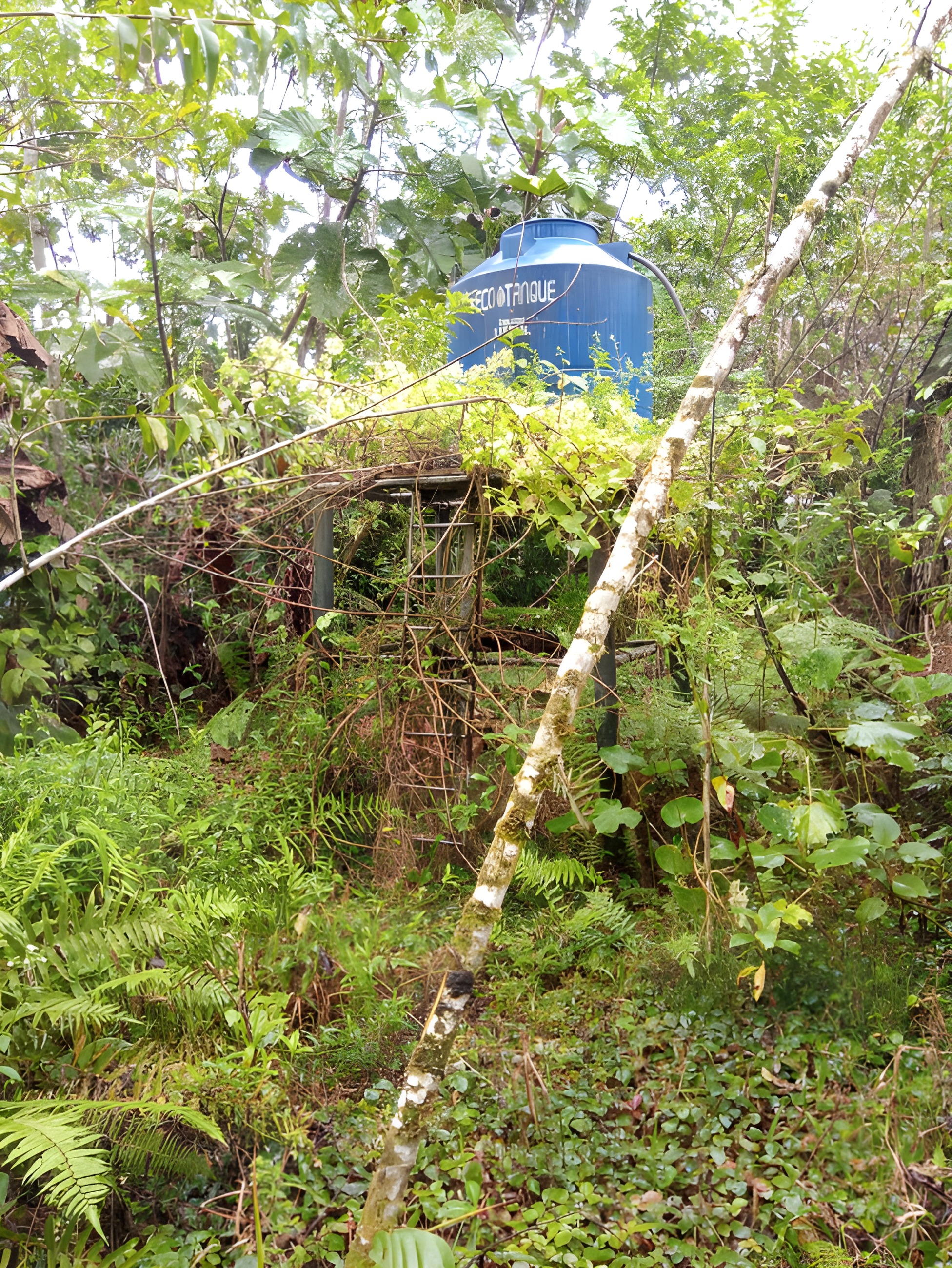Terreno rural en Ongota - Tena, Napo