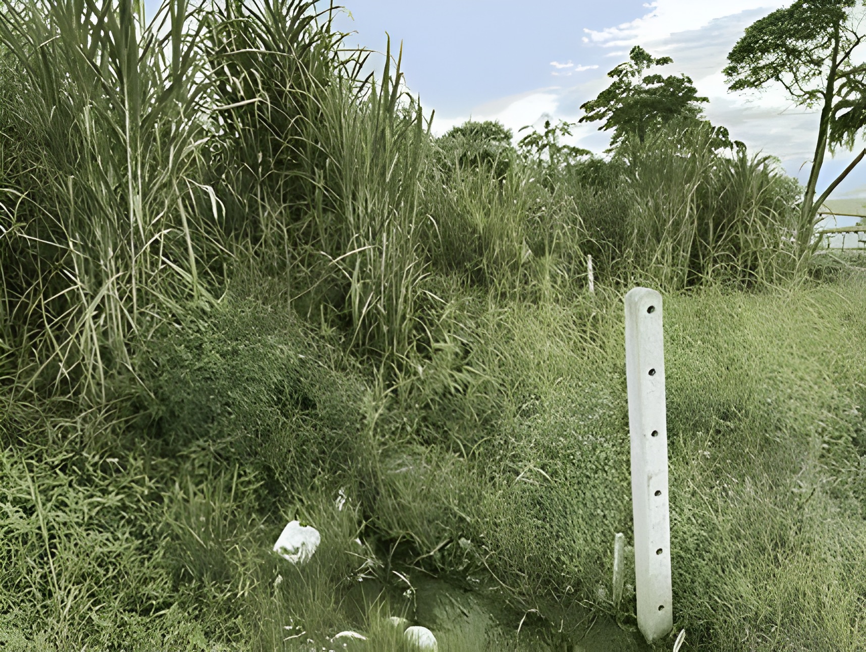 Terreno urbano en Archidona - Napo