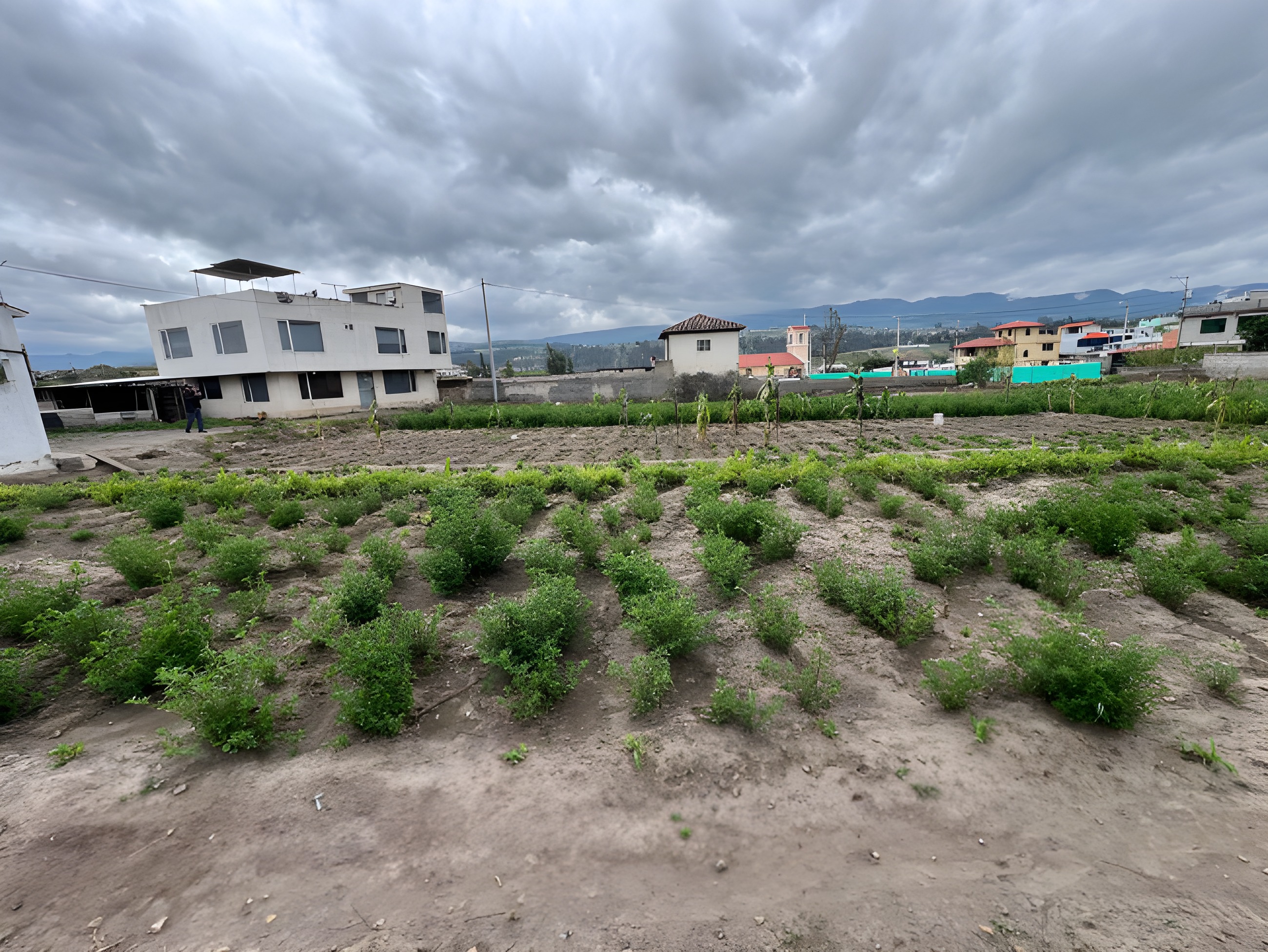 Lote agrícola en Cunchibamba - Ambato