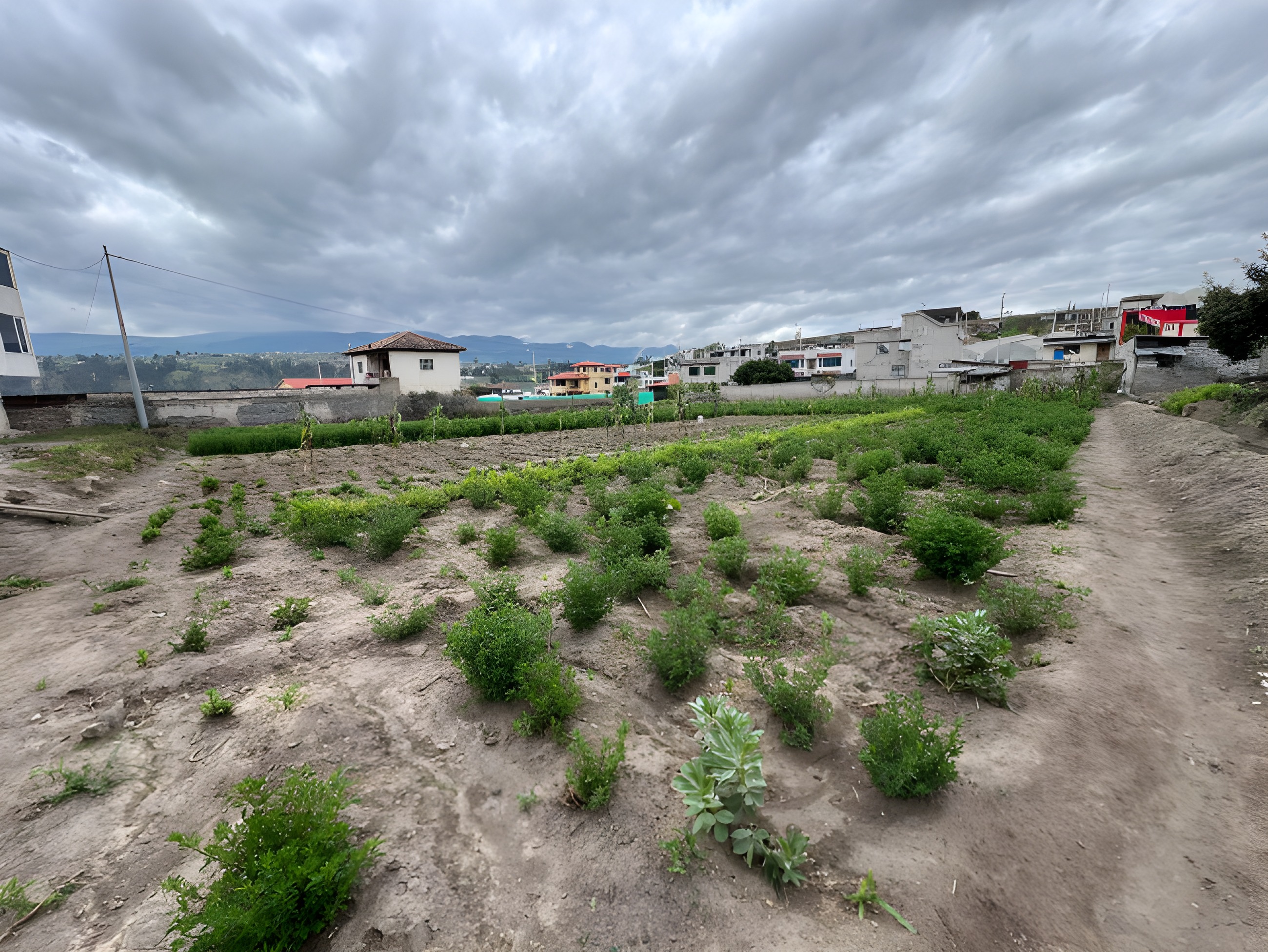 Lote agrícola en Cunchibamba - Ambato