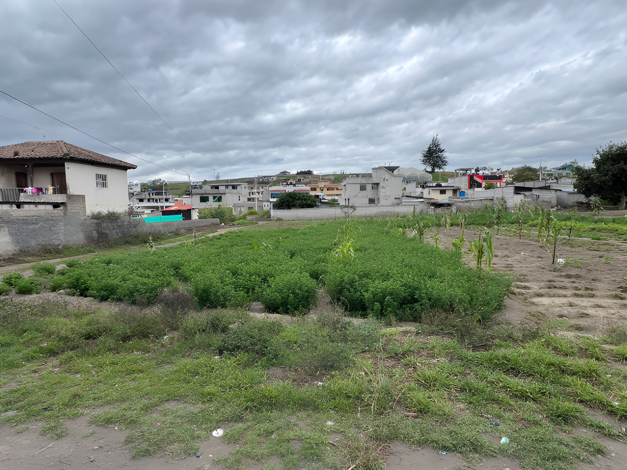 Lote agrícola en Cunchibamba - Ambato