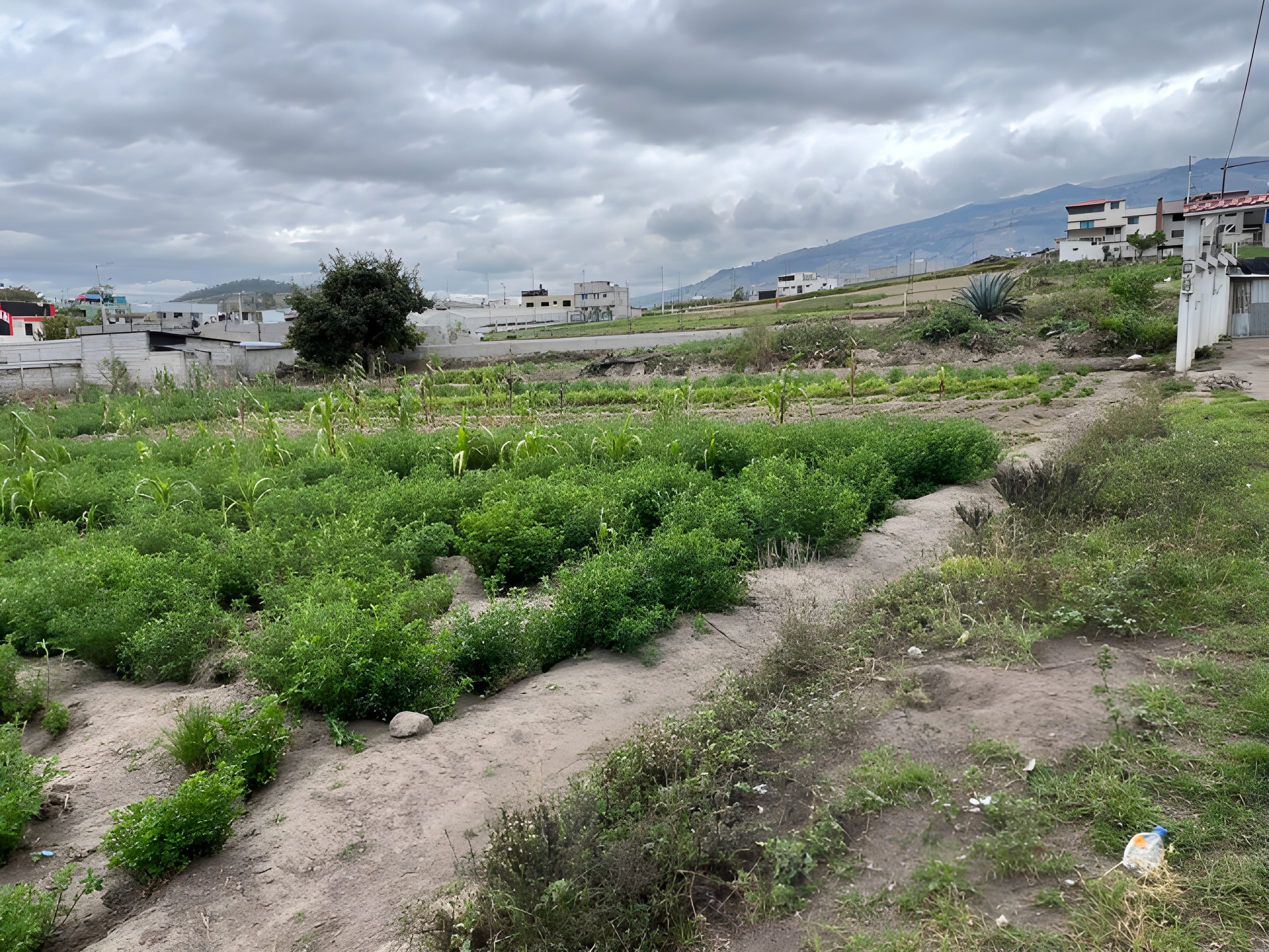 Lote agrícola en Cunchibamba - Ambato