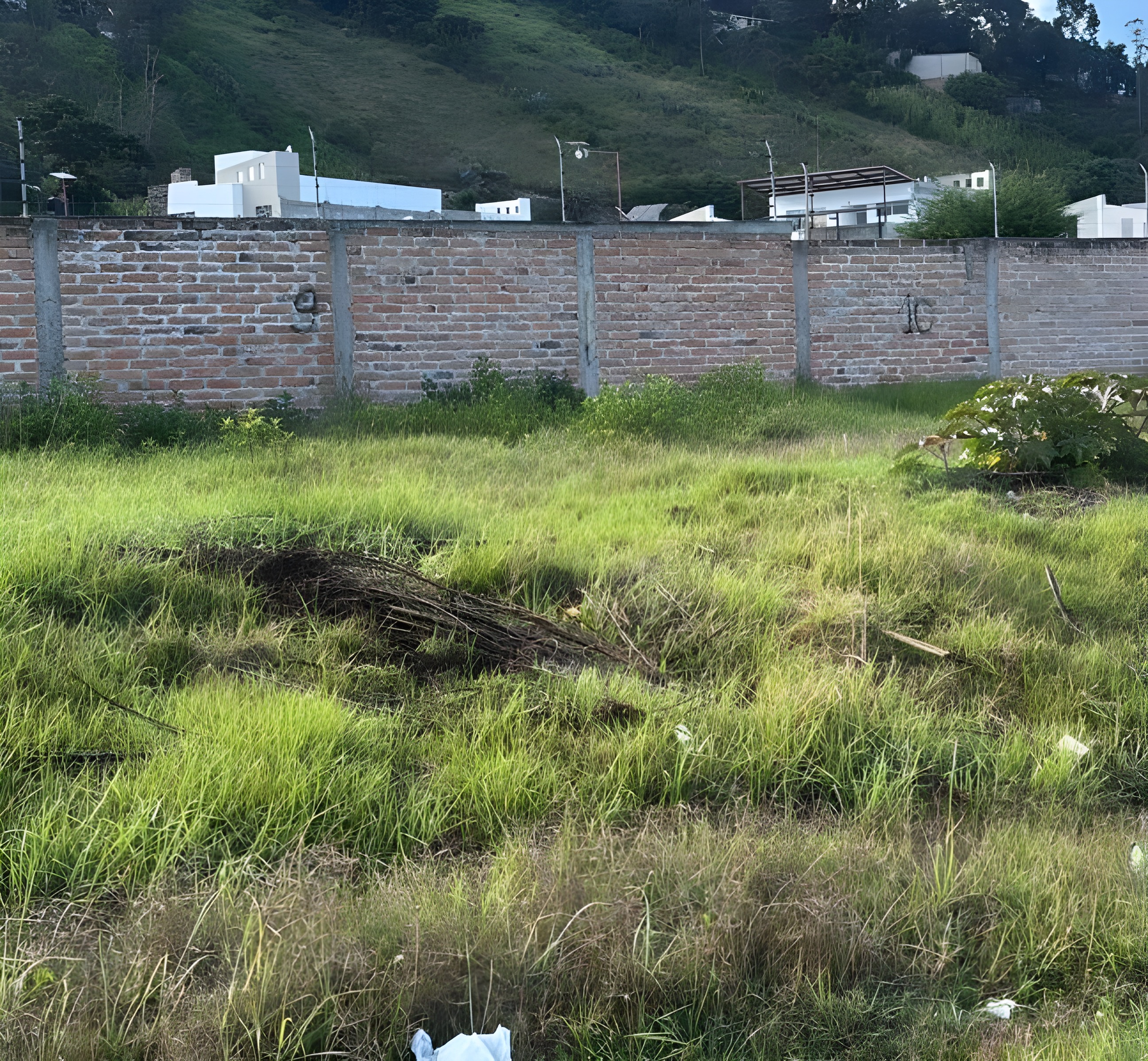 Conjunto de 42 casas y lotes - Ibarra