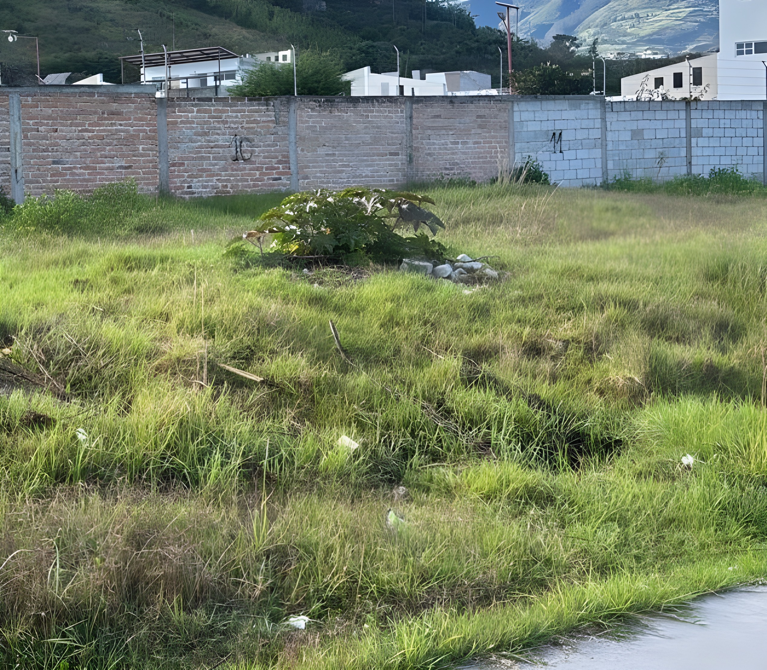 42 casas y lotes en urbanización - Ibarra