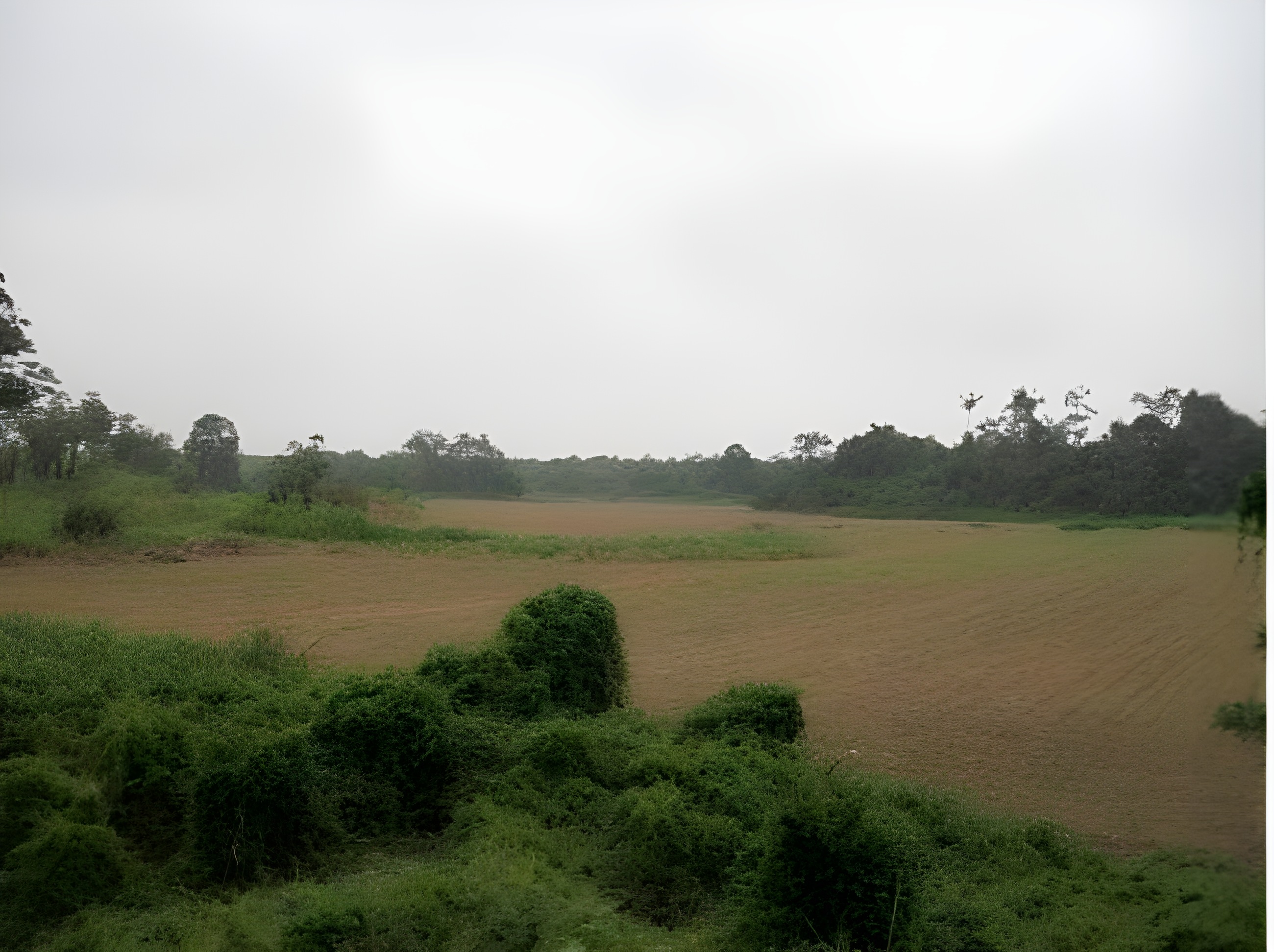 Hacienda cacaotera en Palenque - Los Ríos