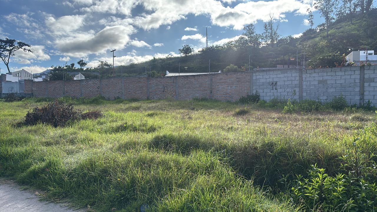 Casas y lotes en Campo Alegre - Ibarra