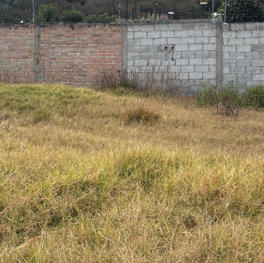 Casas y lotes en Campo Alegre - Ibarra