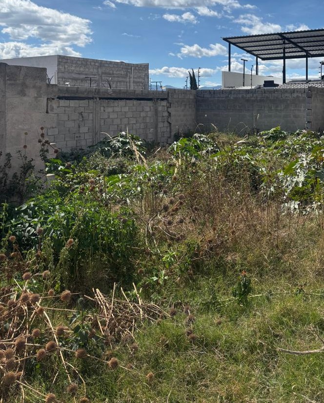 Casas y lotes en Ibarra - Imbabura