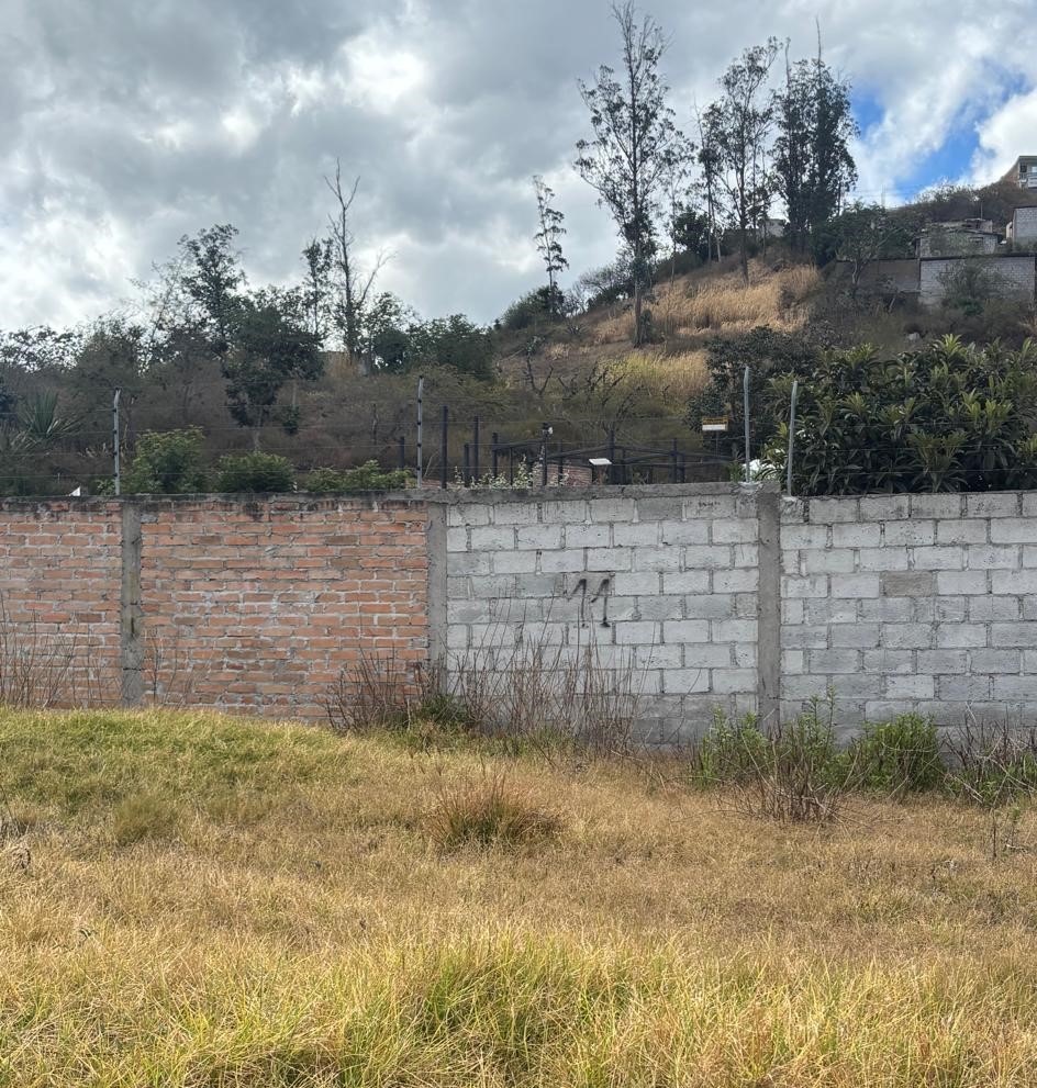 Conjunto de casas y lotes - Ibarra
