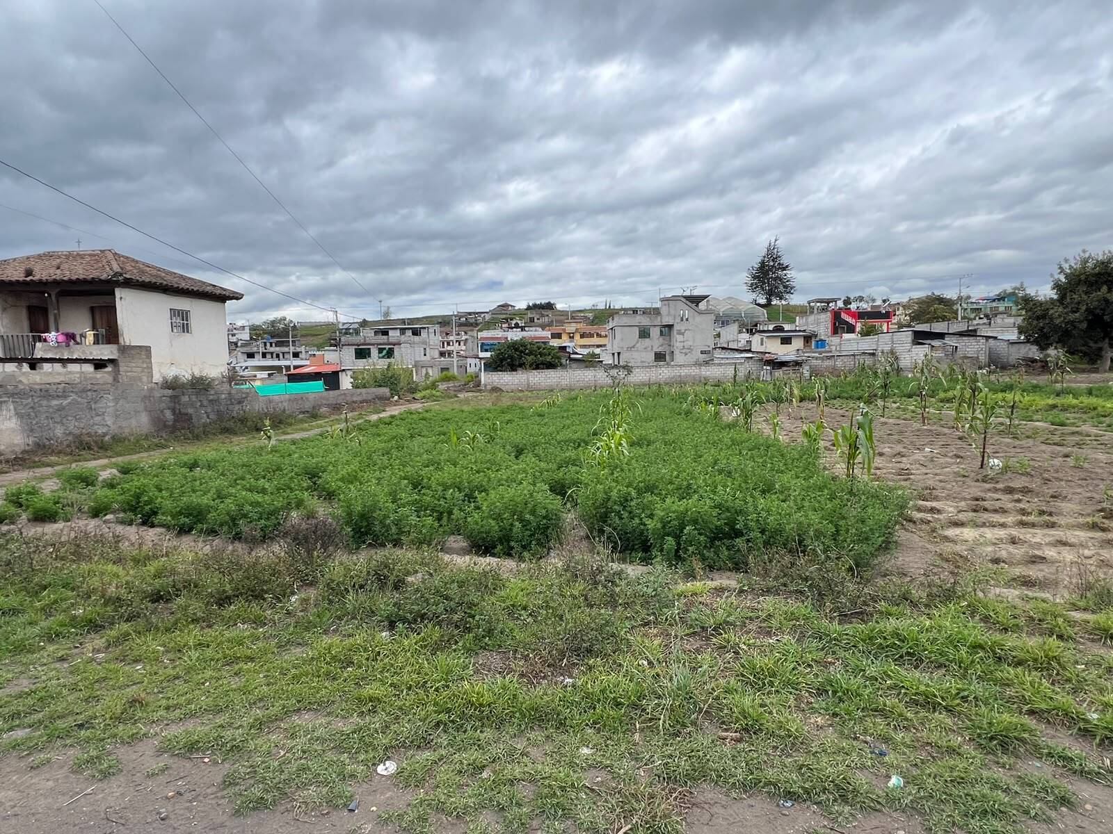 Inmueble en Ambato, Tungurahua, avalúo de ficha USD 45.265,90