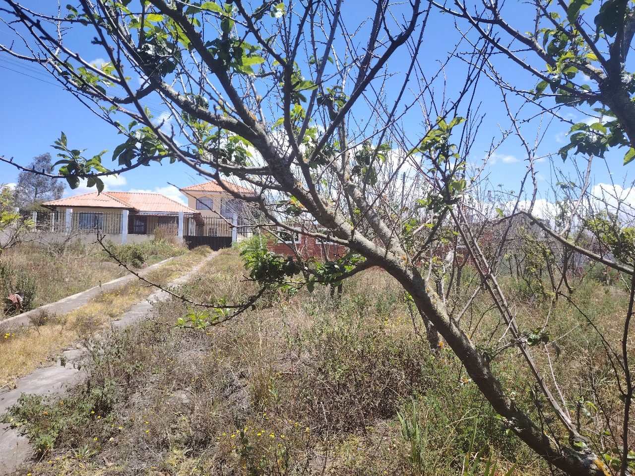 Terreno en Santa Rosa - Ambato