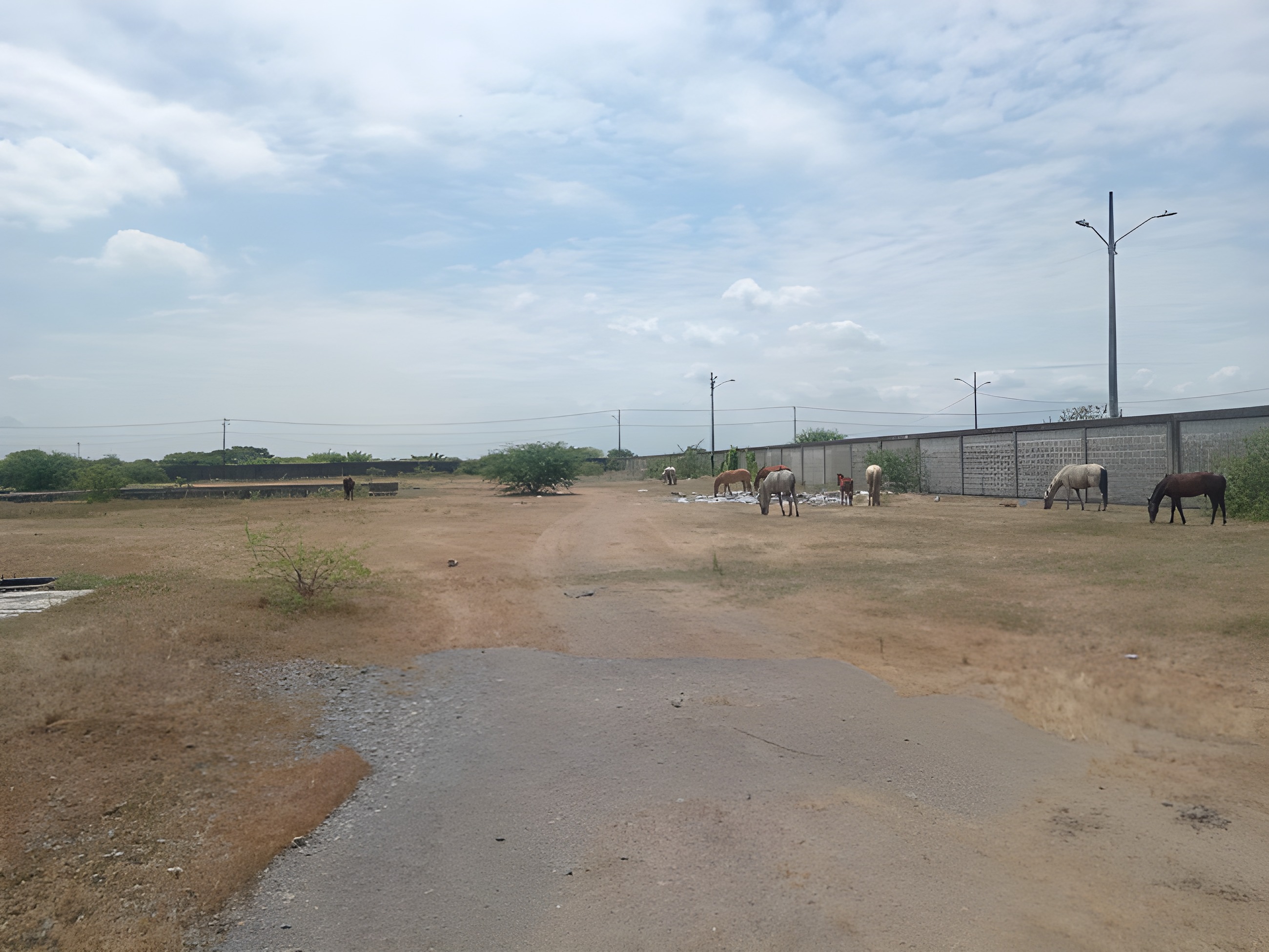 Terreno industrial 20.240m2 - Durán