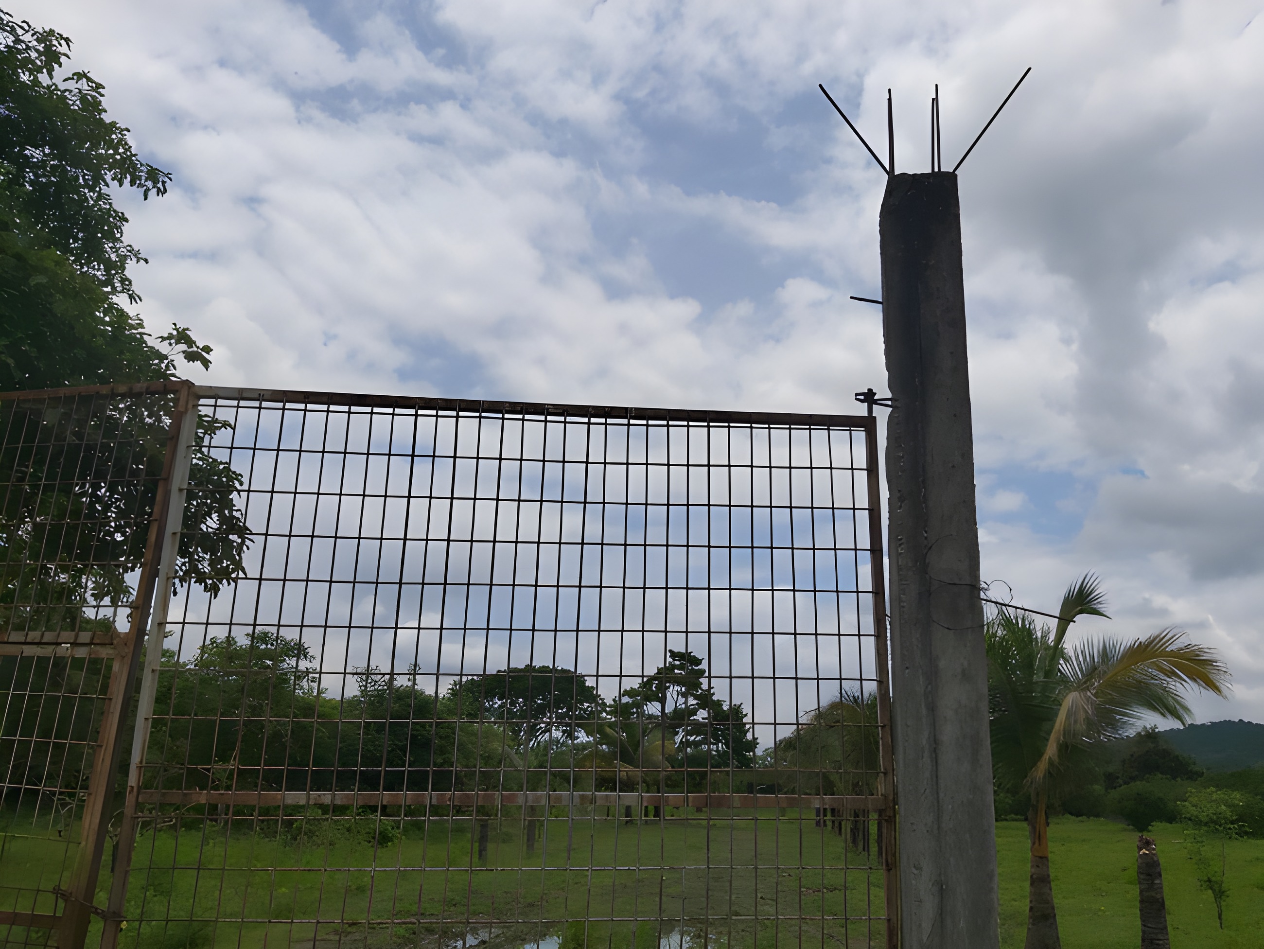 Terreno agrícola en Nobol - Guayas