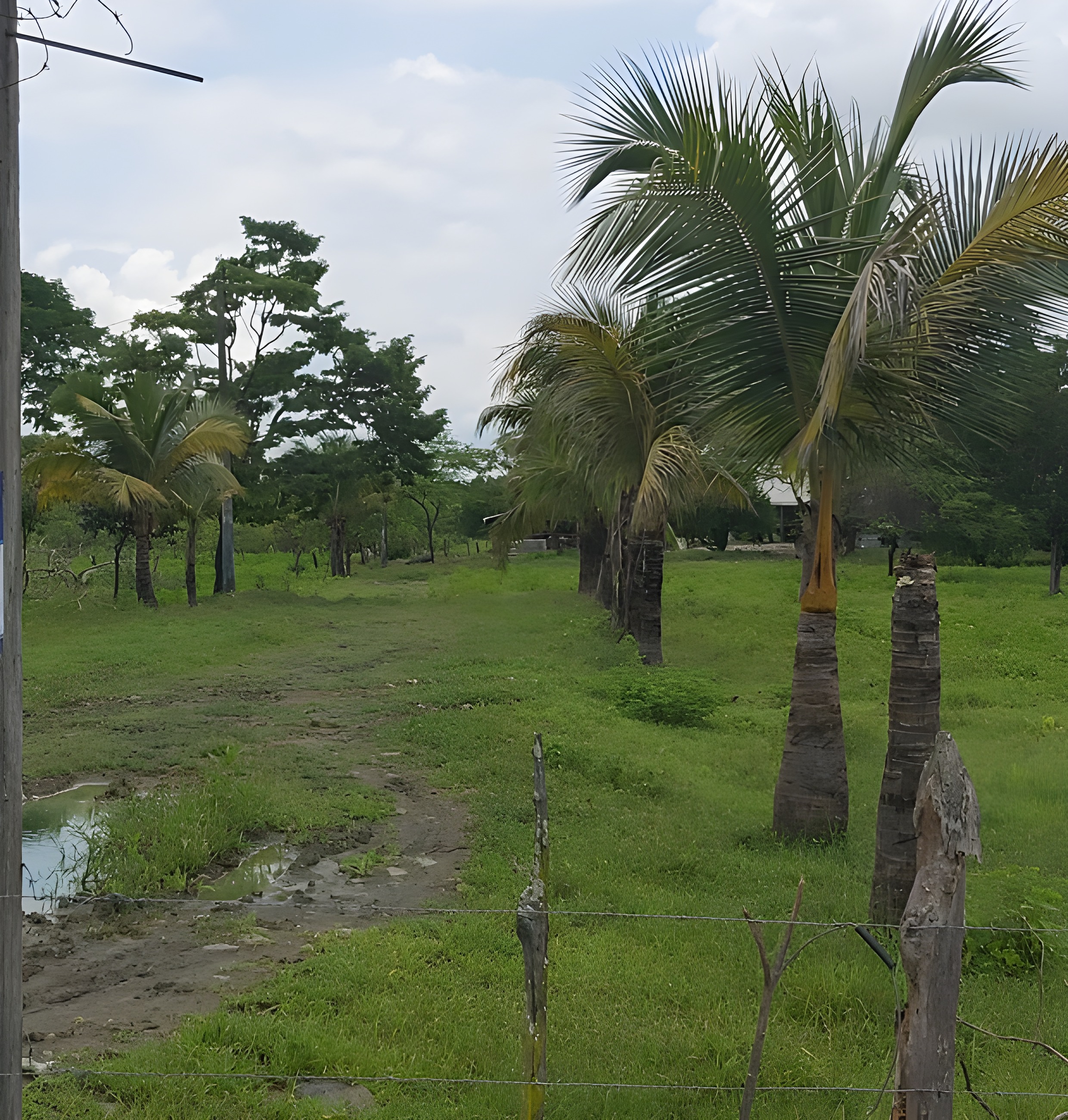 Terreno agrícola en Nobol - Guayas