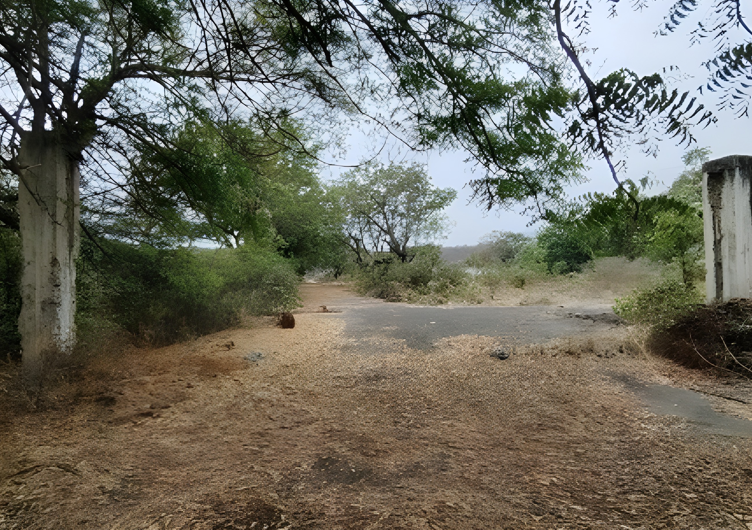 Lote industrial en Picoazá - Manabí