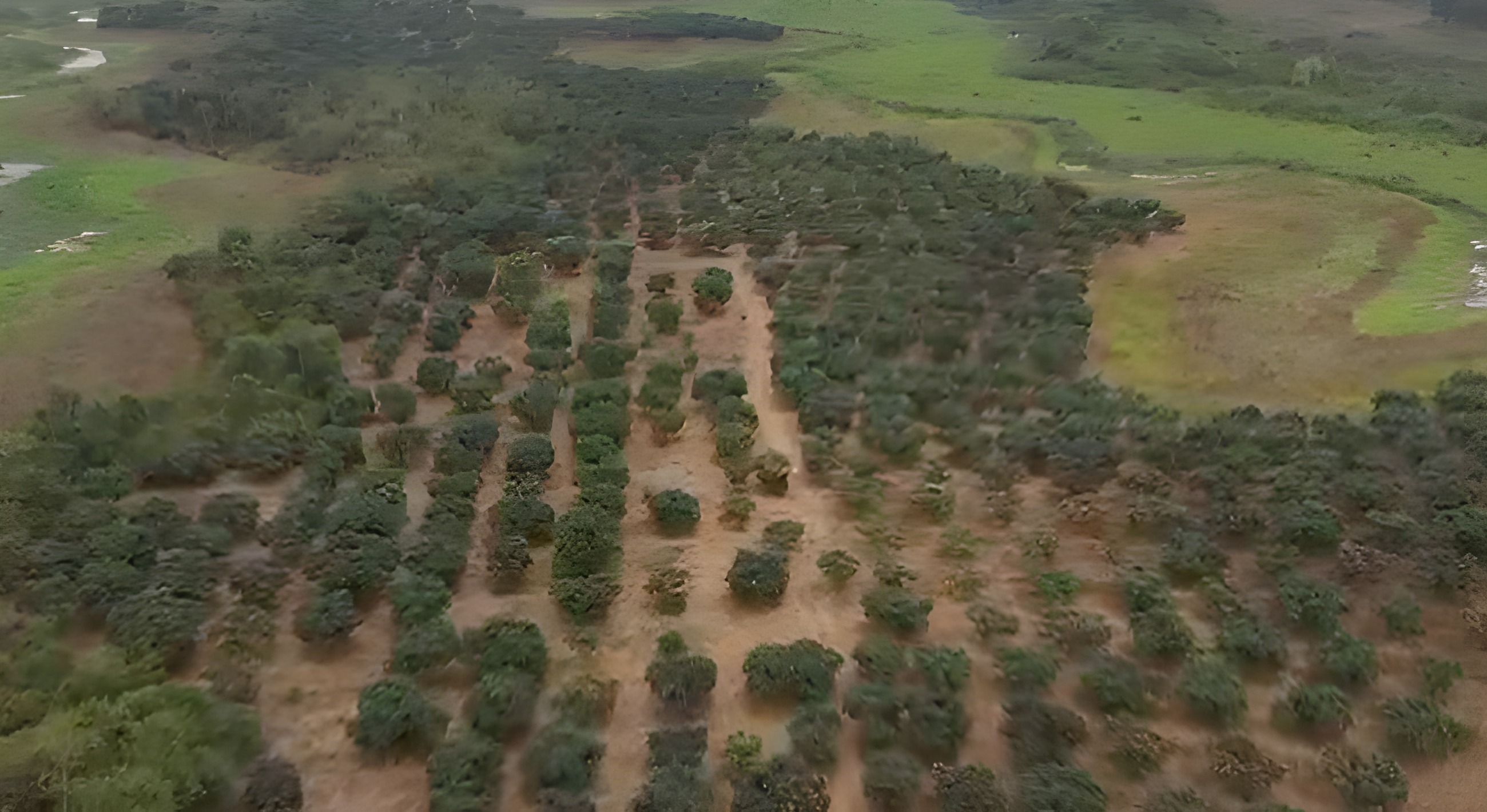 Terreno agrícola con mango - Baba, Los Ríos