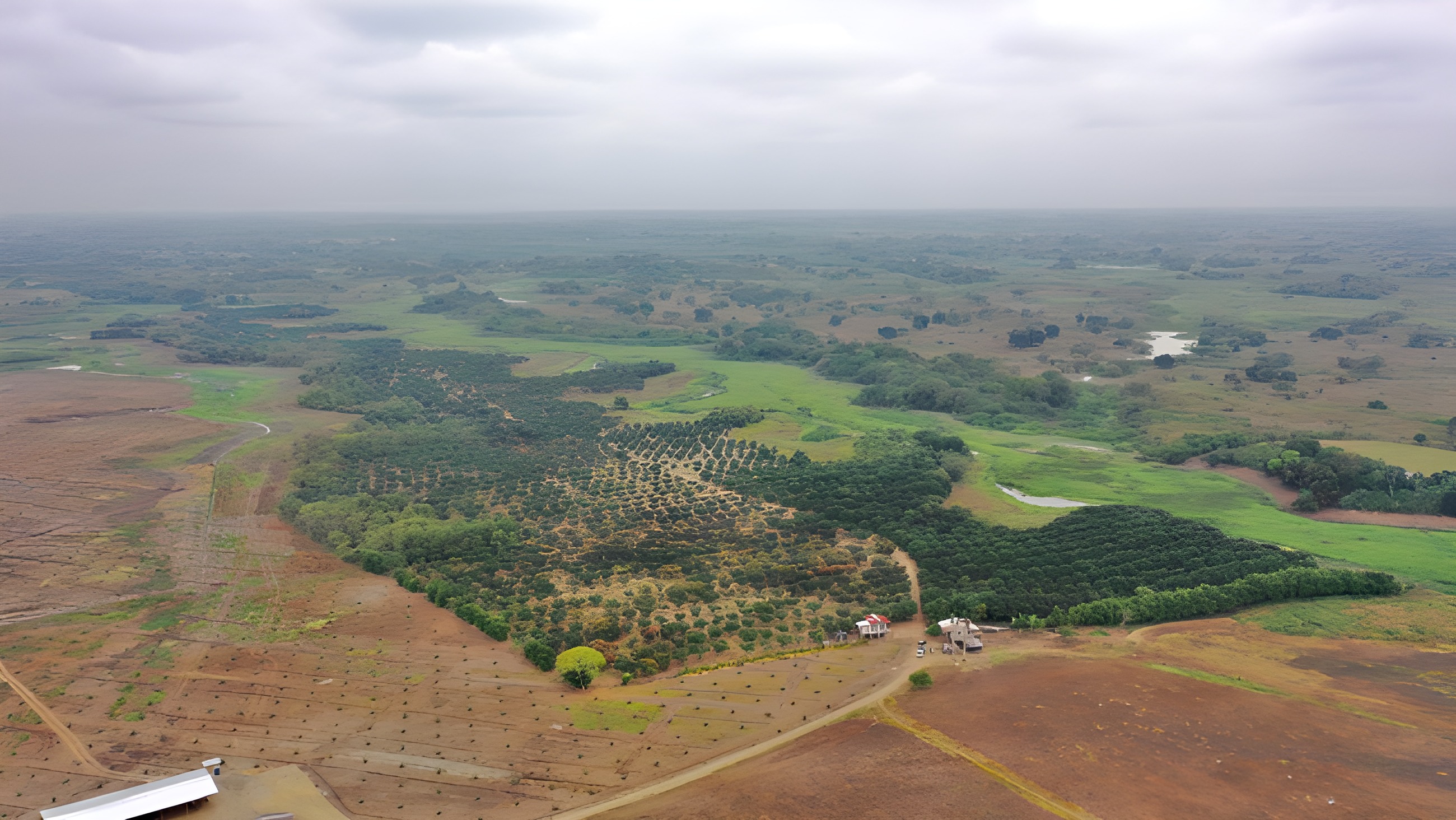 Terreno agrícola con mango - Baba, Los Ríos