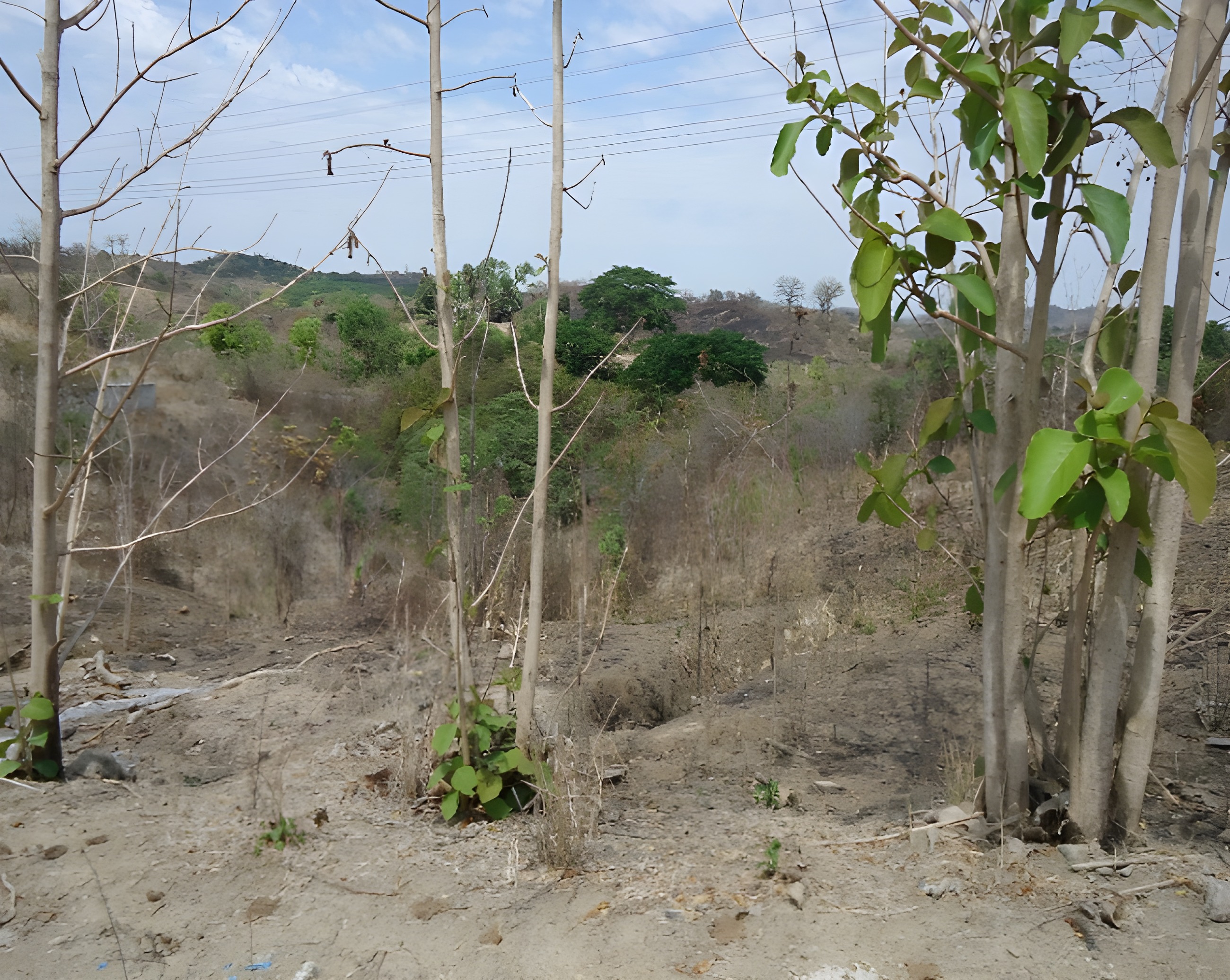 Predio agrícola en Chongón - Guayas