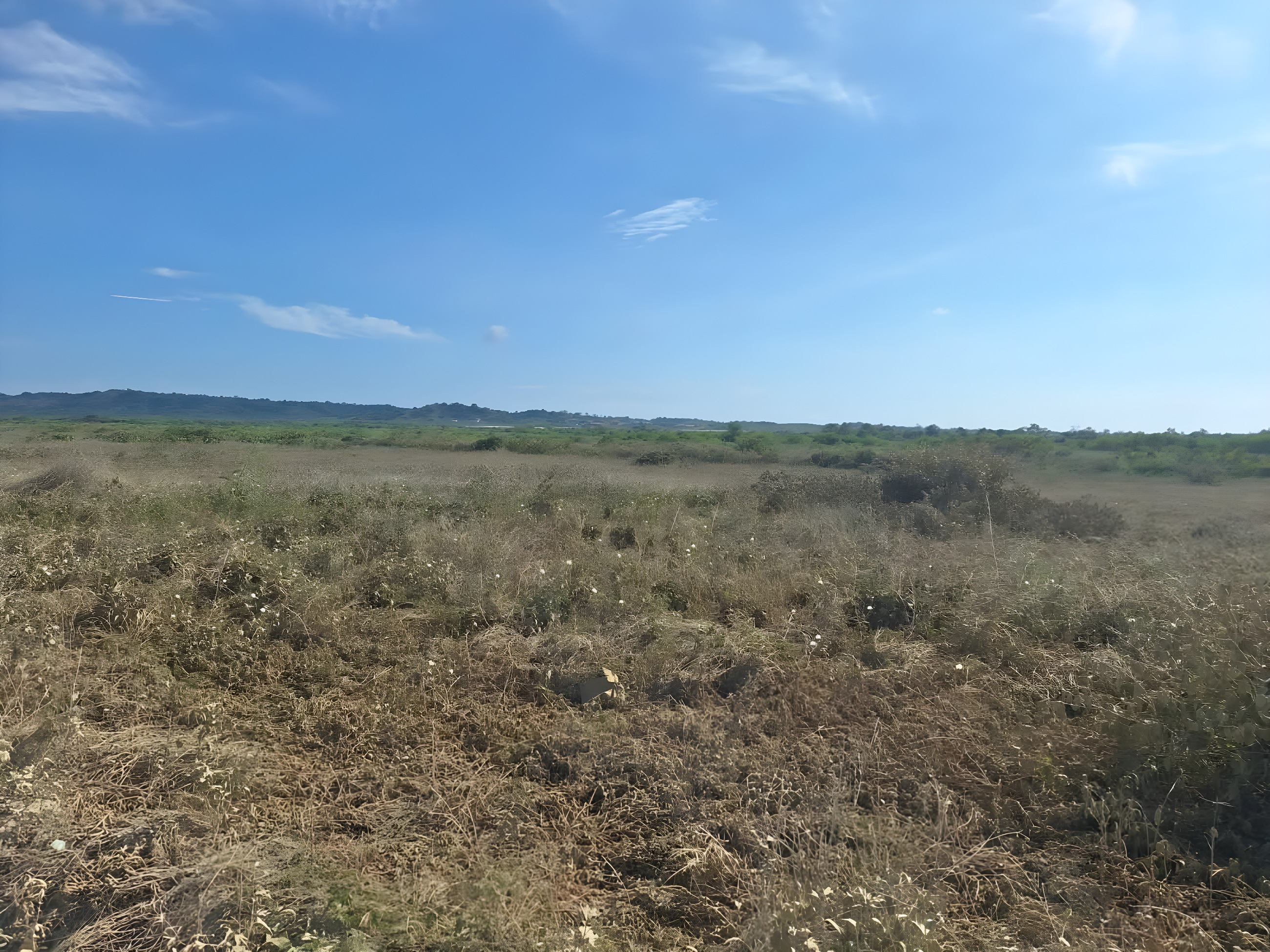 Terrenos en Playas - Guayas