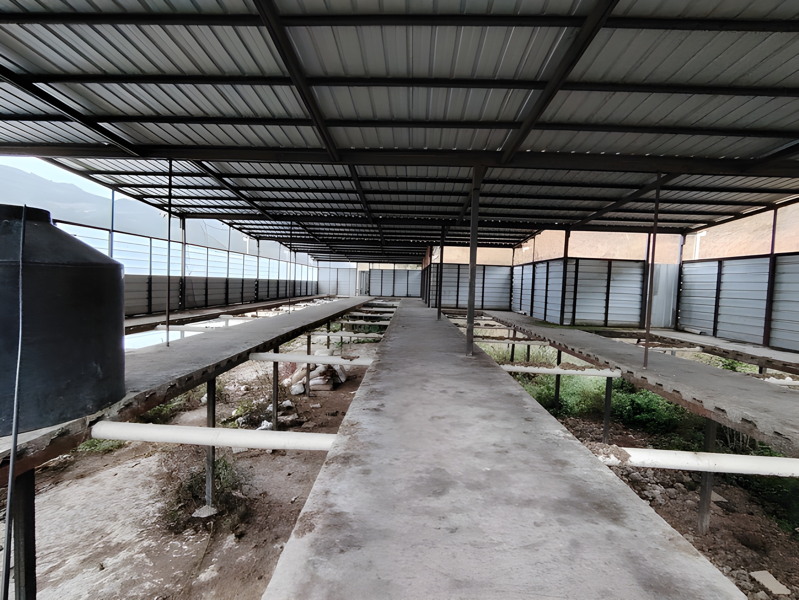 Terreno agrícola con galpones - Loja