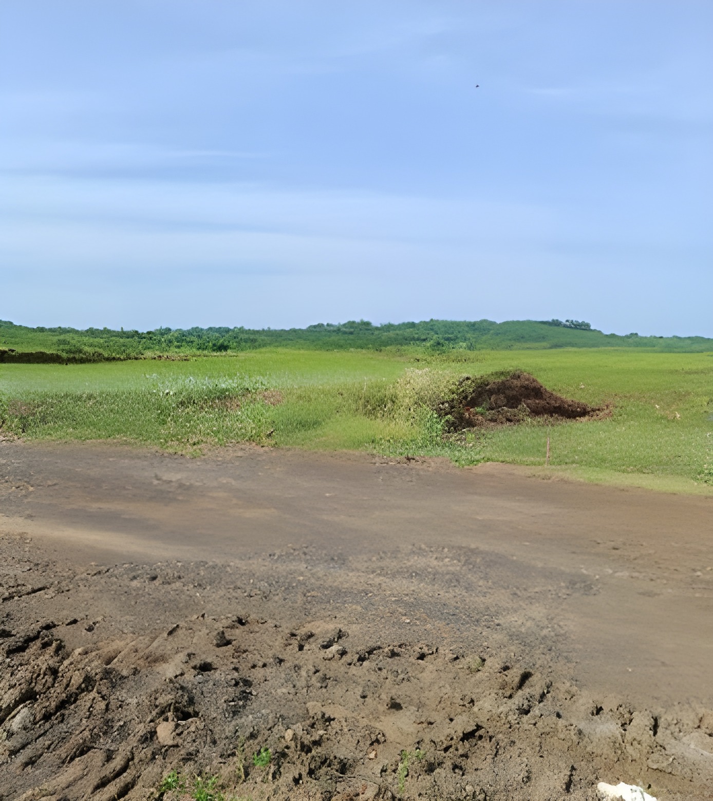 Terreno agrícola en Zapotillo - Loja