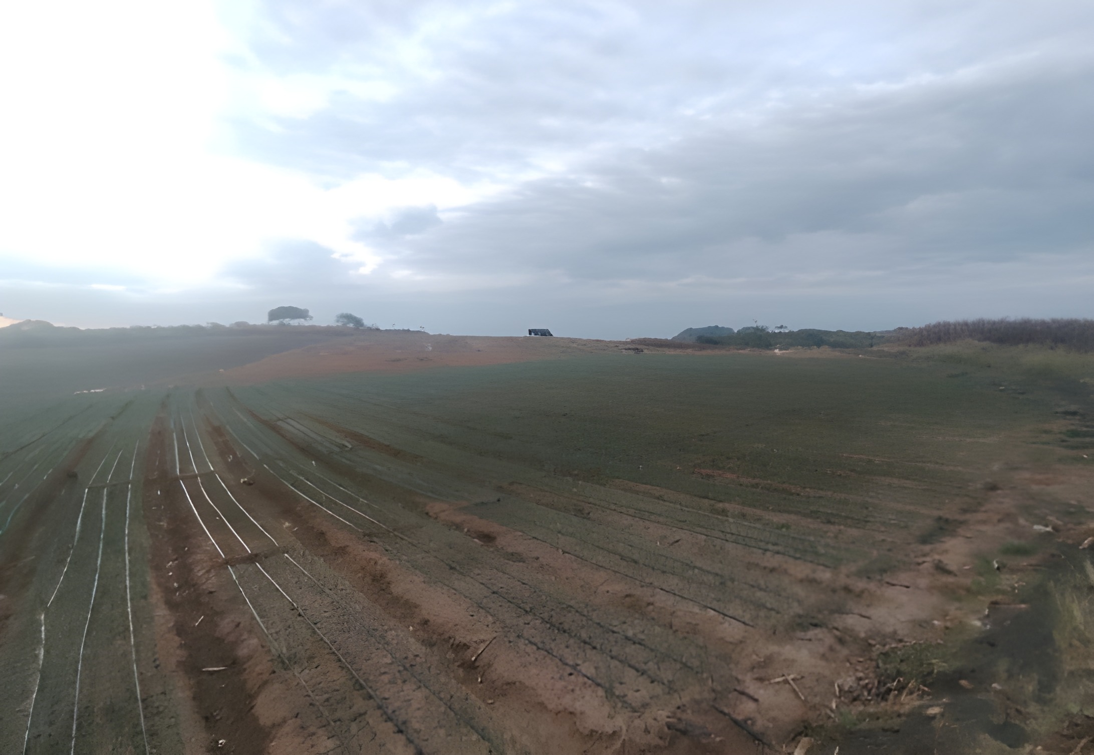 Terreno agrícola en Zapotillo - Loja