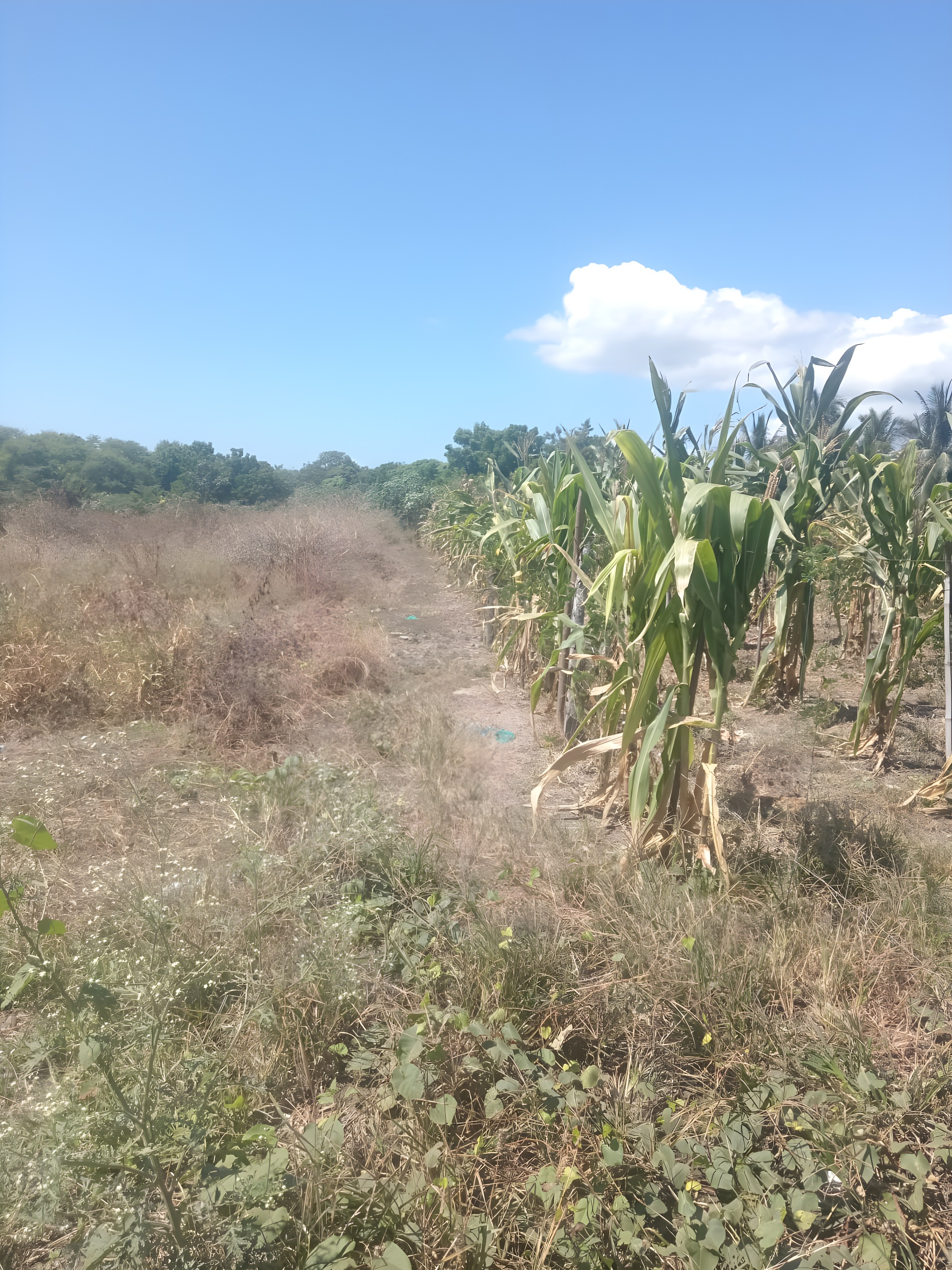 Terreno urbano en Portoviejo - Manabí