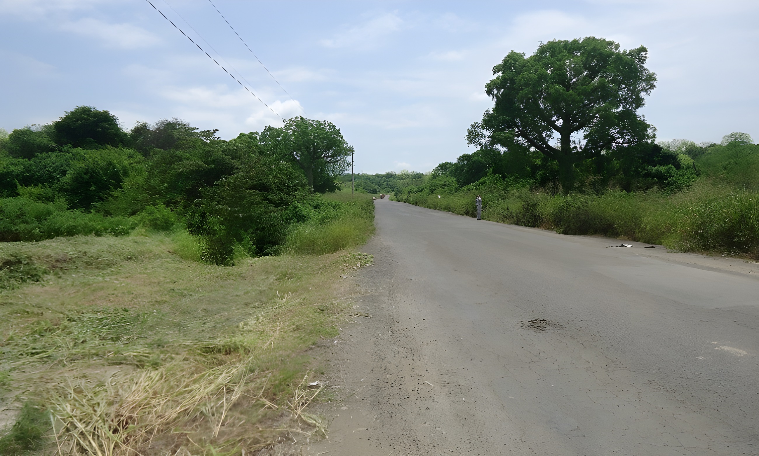 Predio agrícola-ganadero en Montecristi - Manabí
