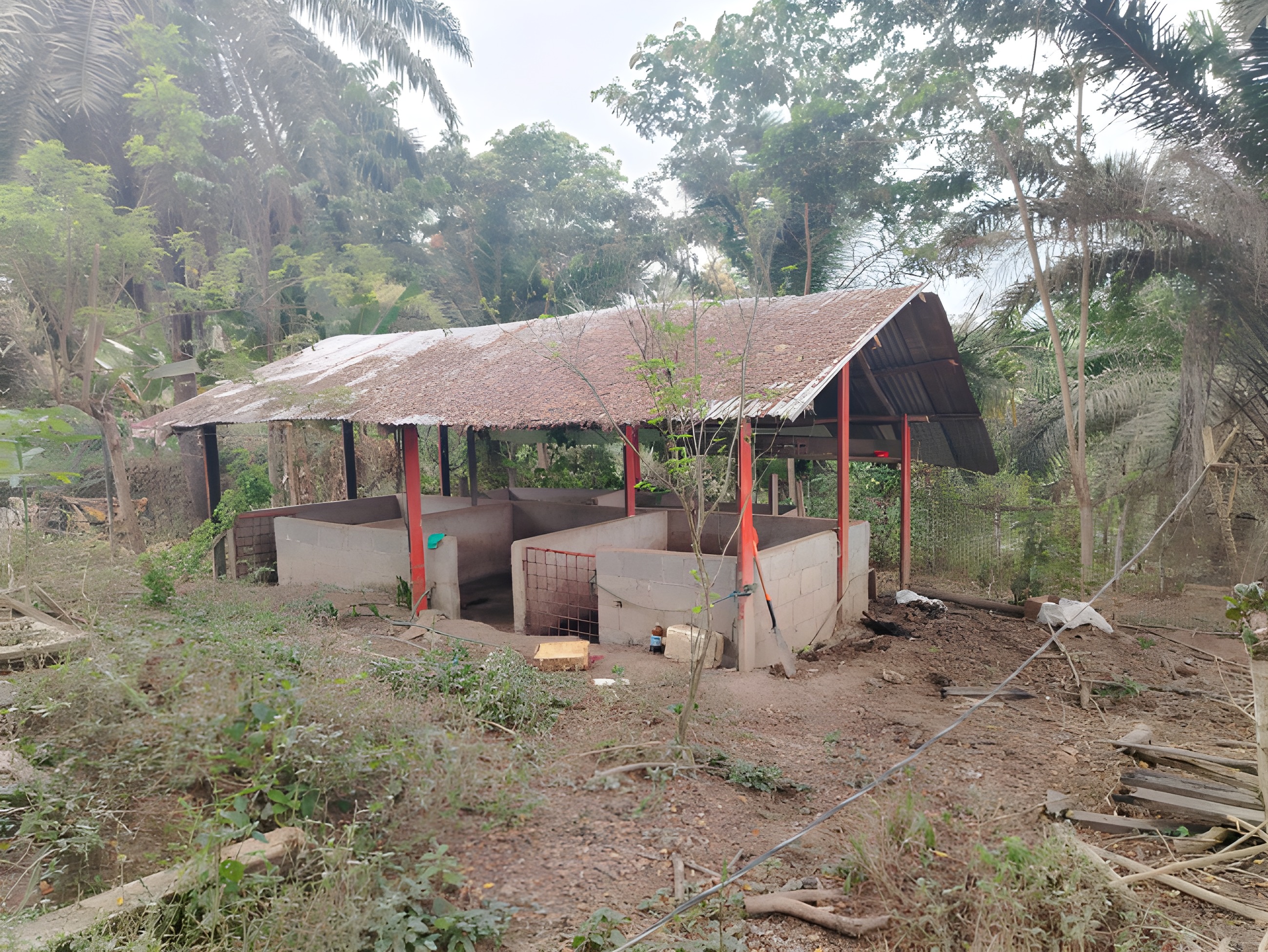 Finca ganadera en Buena Fe - Los Ríos