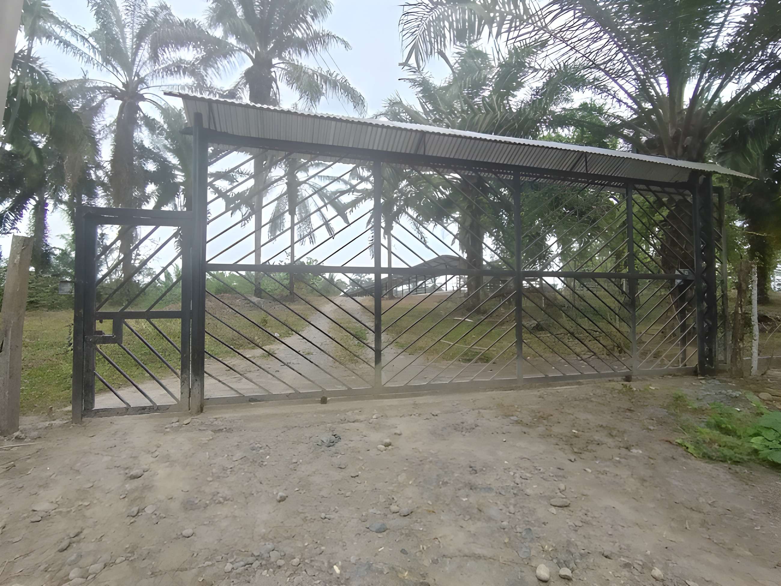Finca ganadera en Buena Fe - Los Ríos