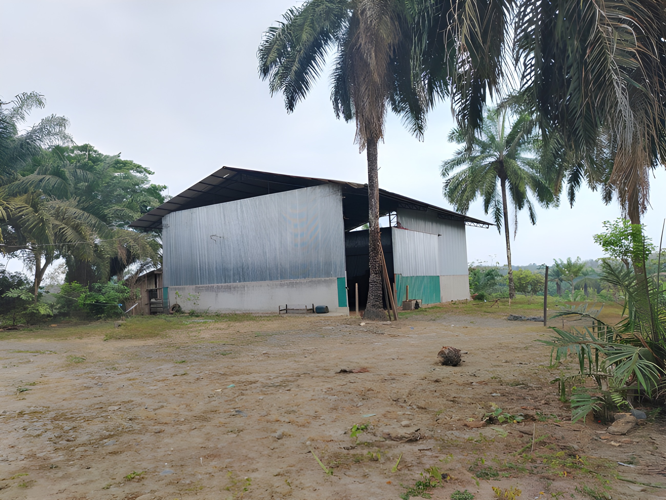 Finca ganadera en Buena Fe - Los Ríos