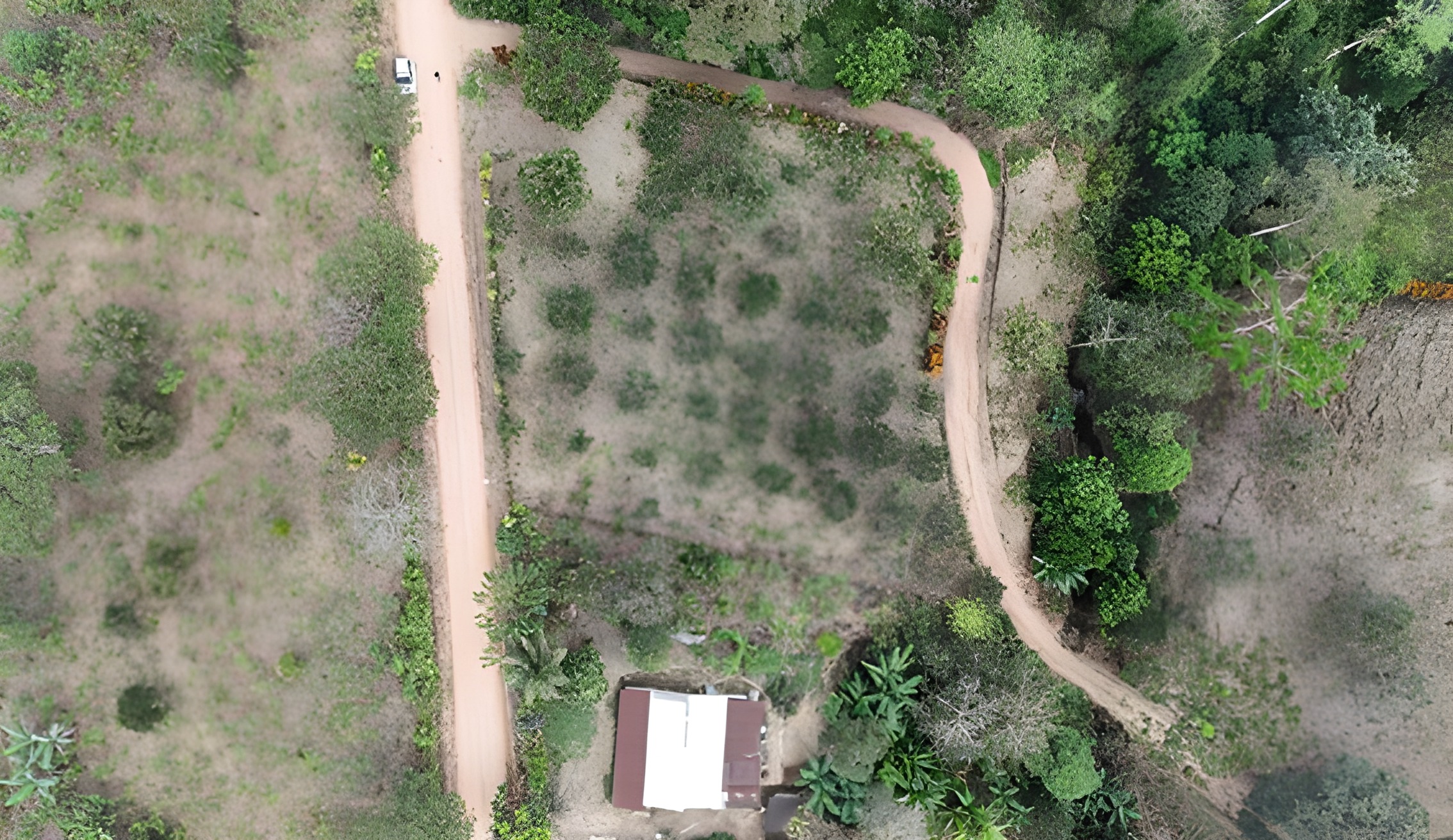 Lote rural con casa y cacao - Puerto Quito