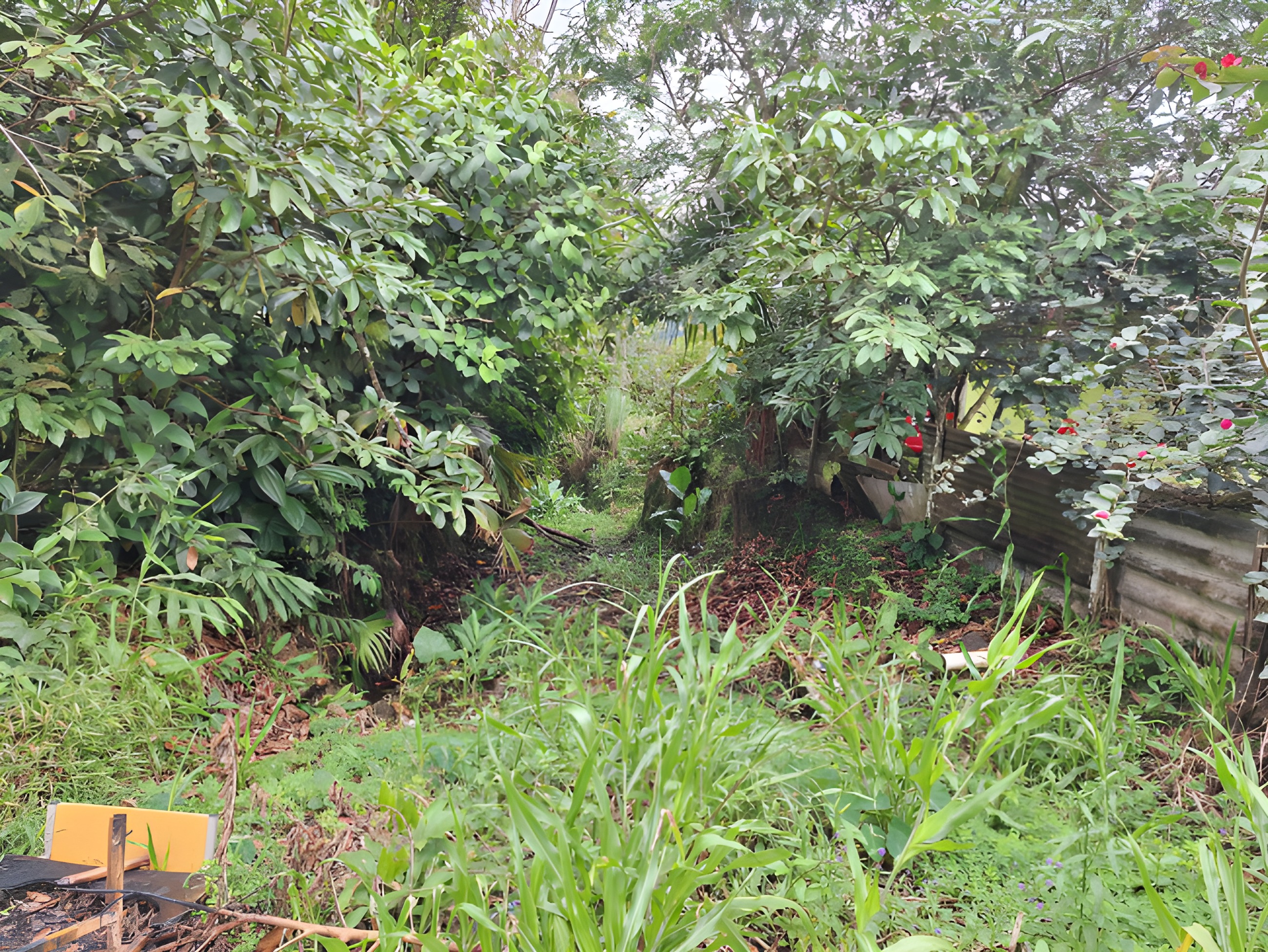 Terreno forestal en Shell - Mera