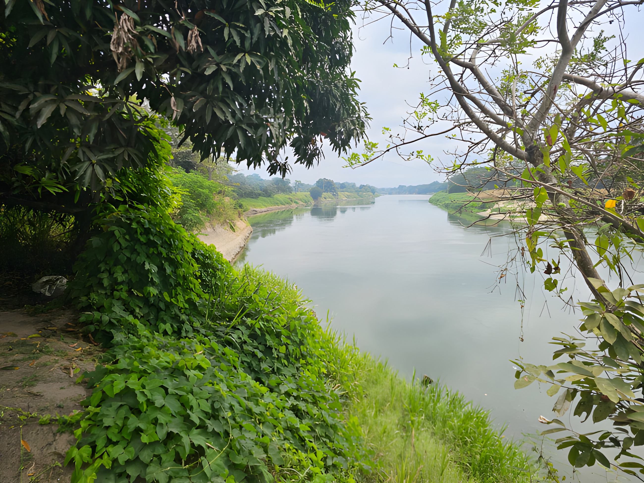 Hacienda agrícola en Colimes - Guayas