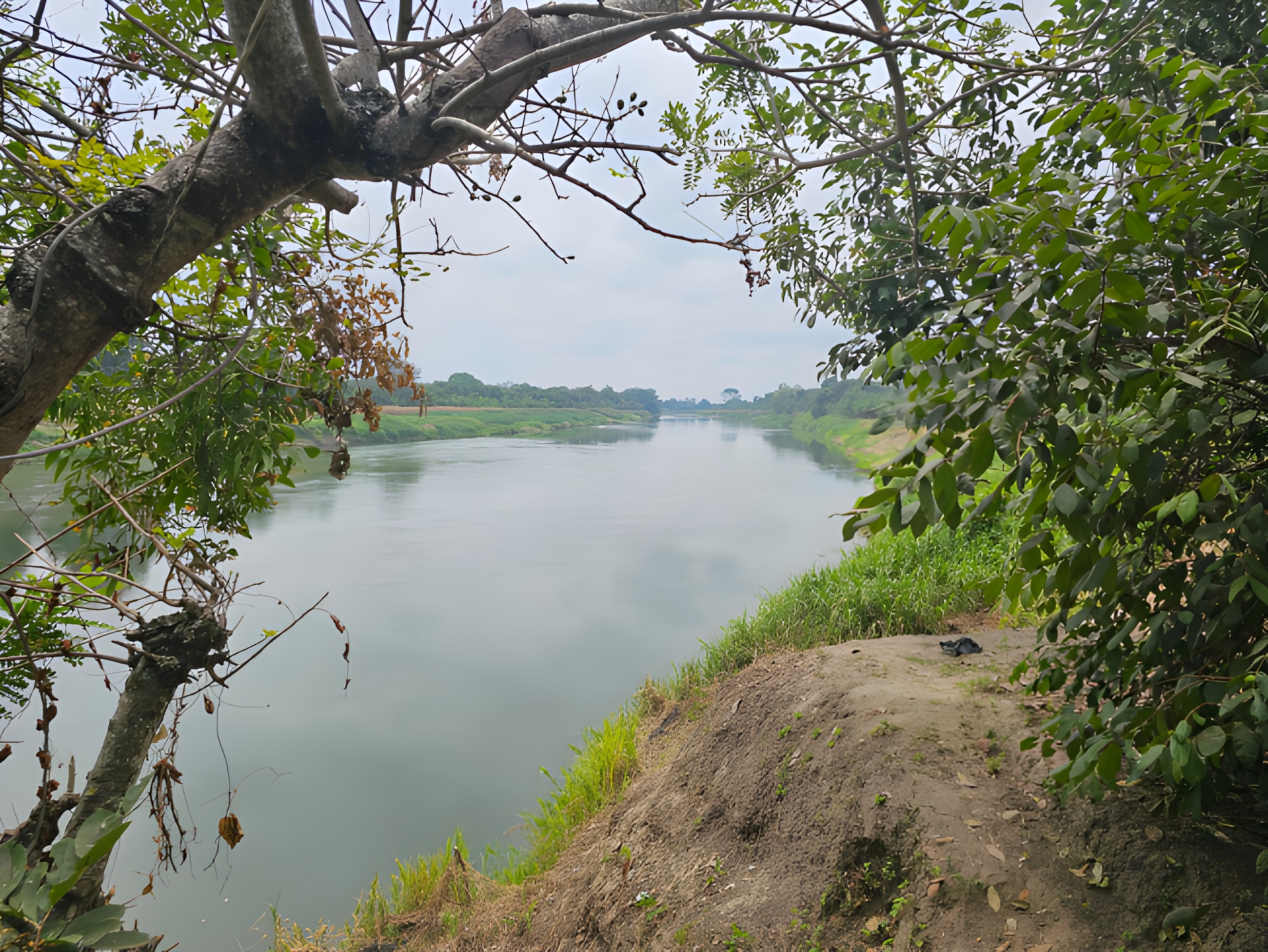 Hacienda agrícola en Colimes - Guayas