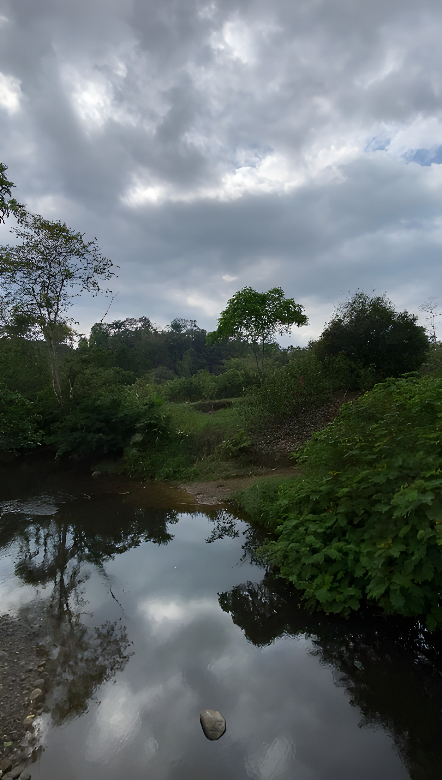 Terreno agrícola con cacao - Quinindé