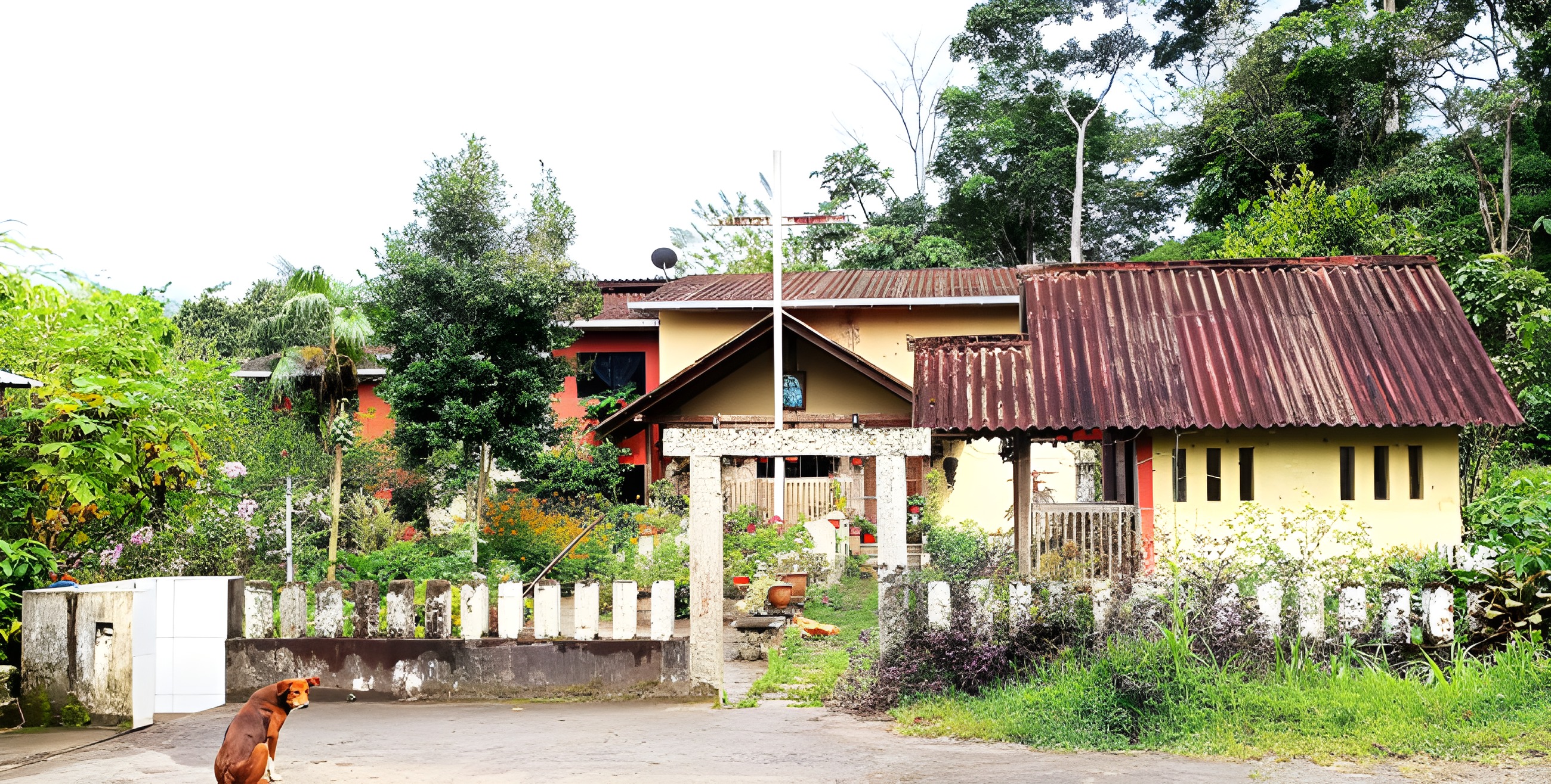 Terreno agroproductivo en Tayuza - Morona Santiago