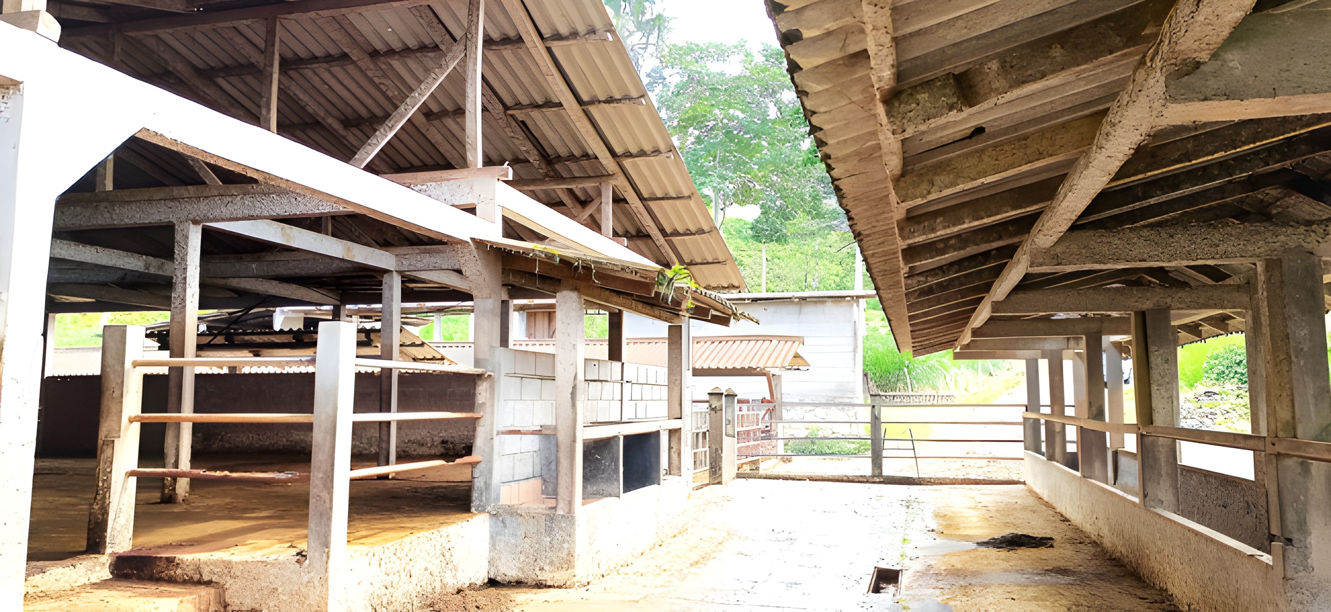 Terreno agroproductivo en Tayuza - Morona Santiago