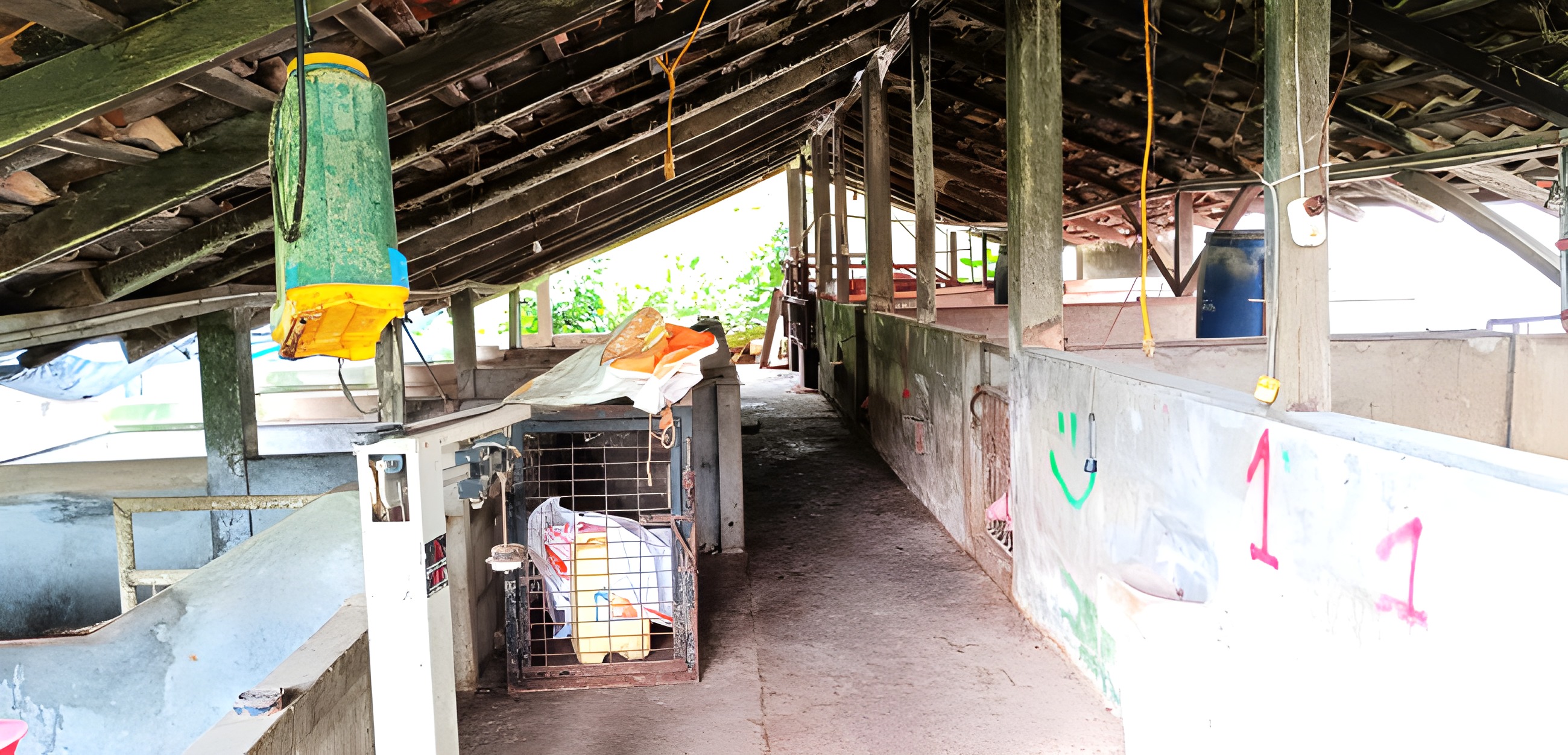 Terreno agroproductivo en Tayuza - Morona Santiago