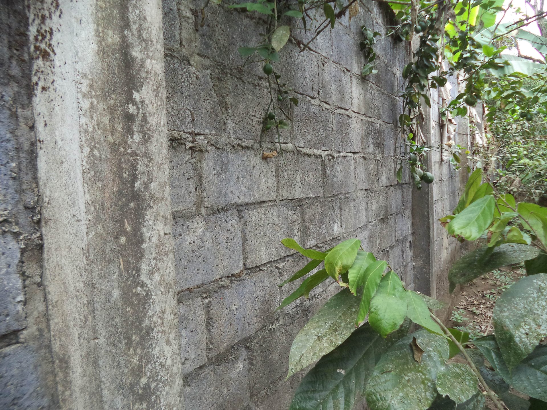 Terreno rural en Caluma - Bolívar
