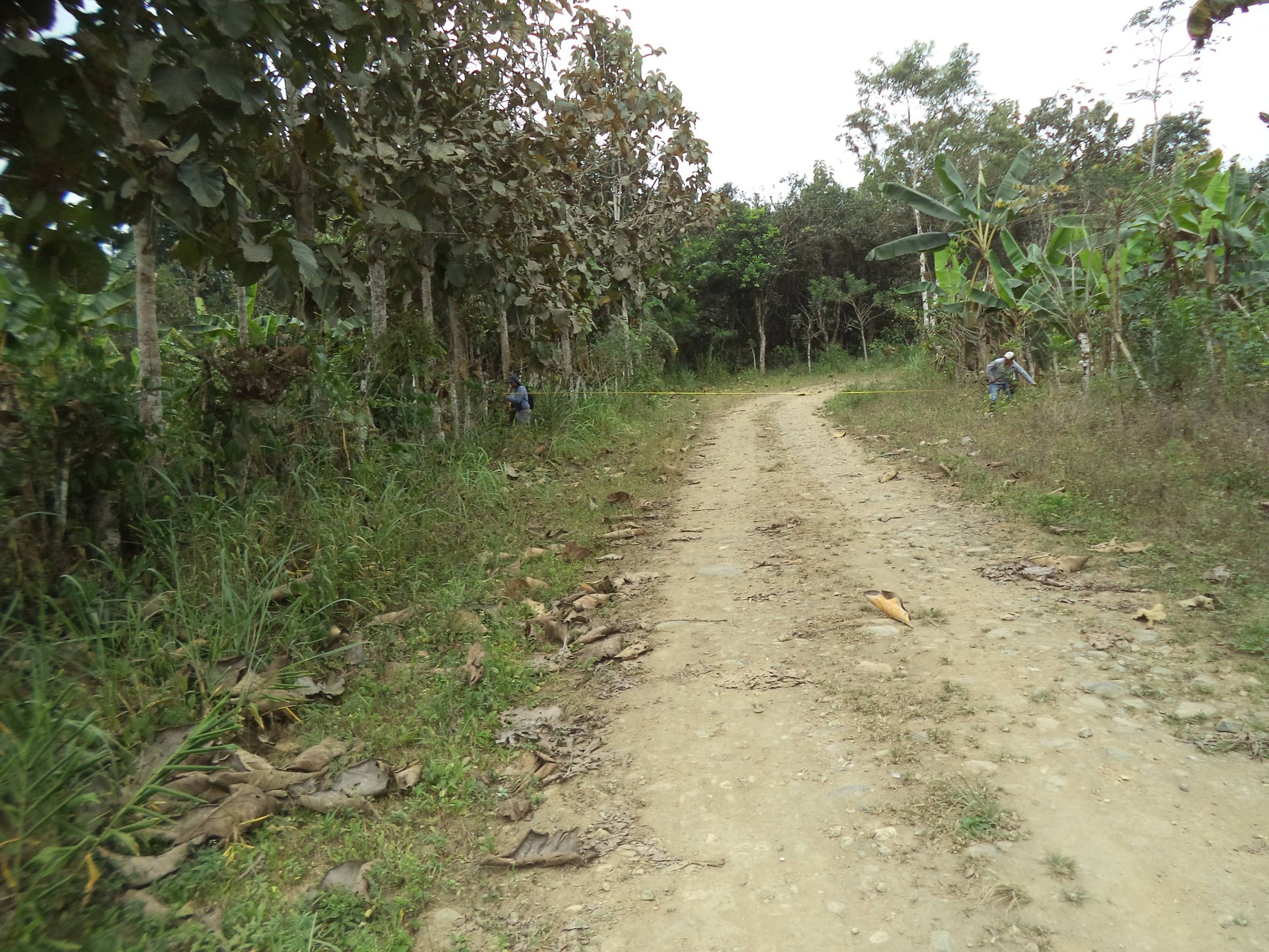 Terreno rural en Caluma - Bolívar