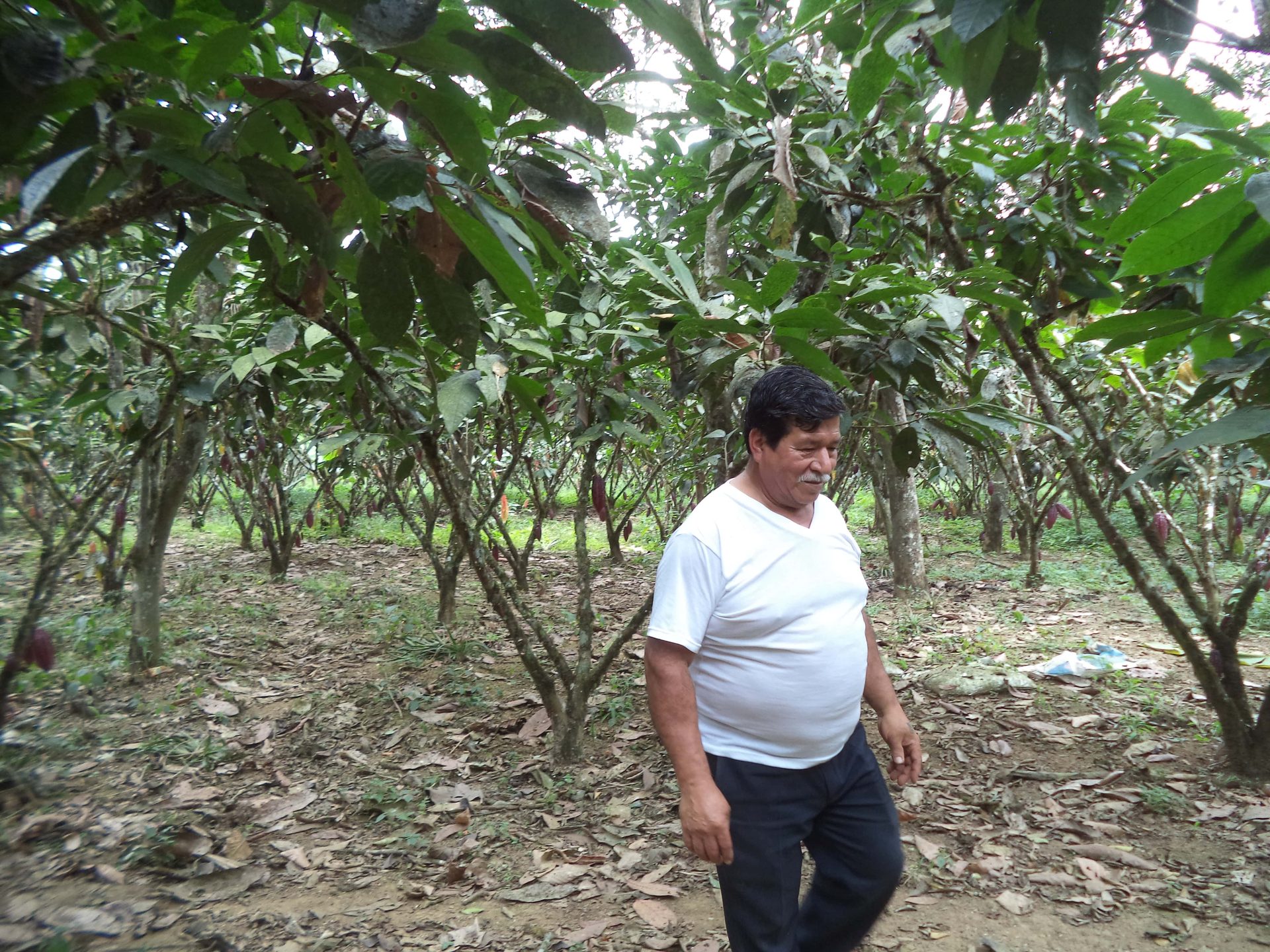 Terreno rural en Caluma - Bolívar