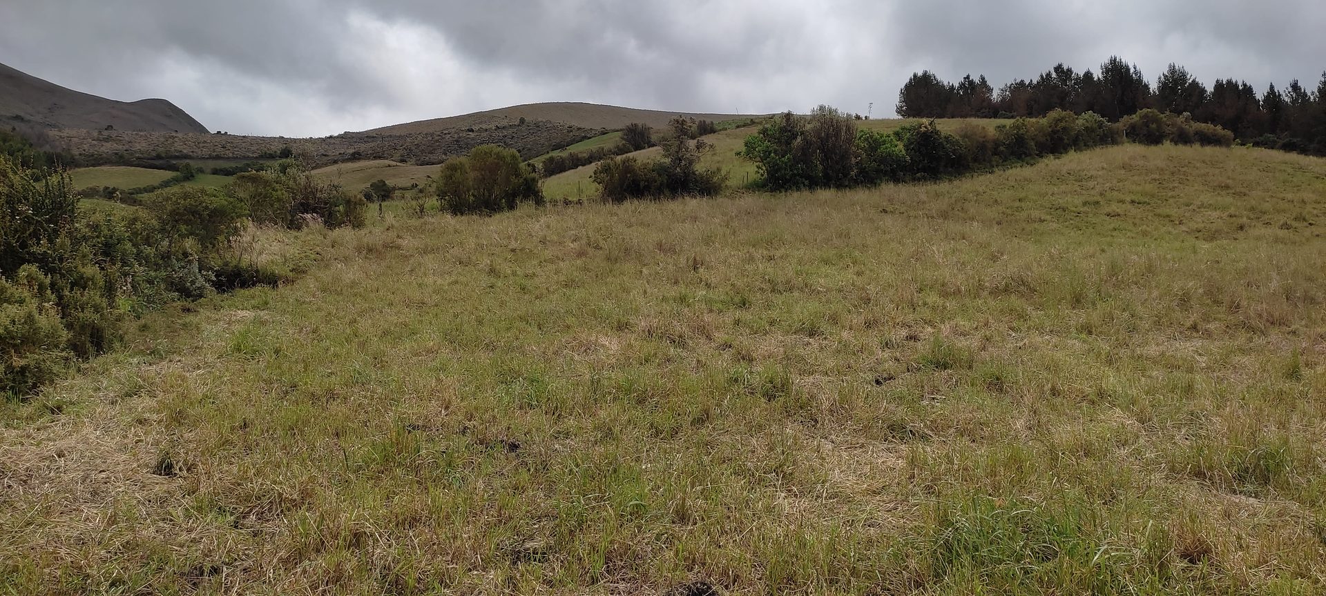 Predio rural en La Libertad - Carchi