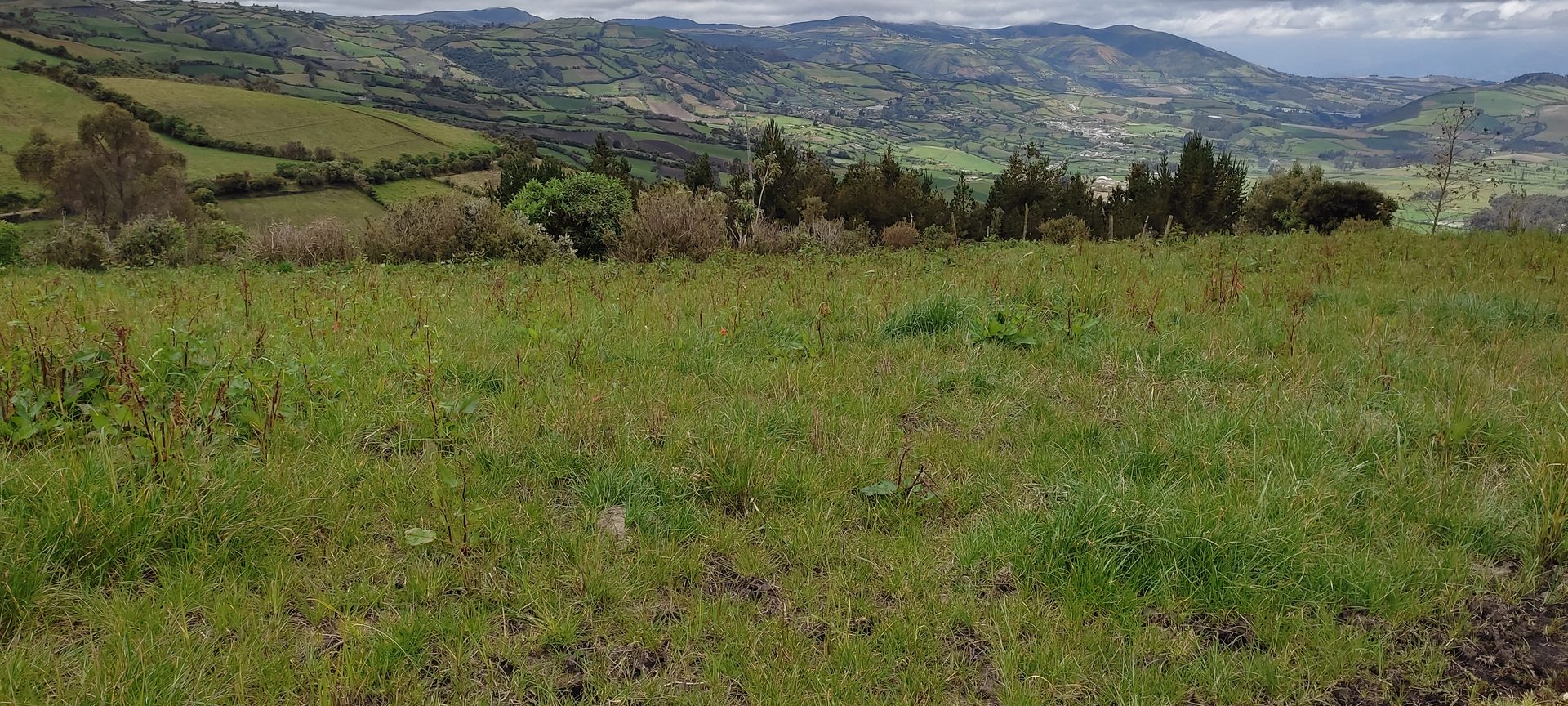 Predio rural en La Libertad - Carchi