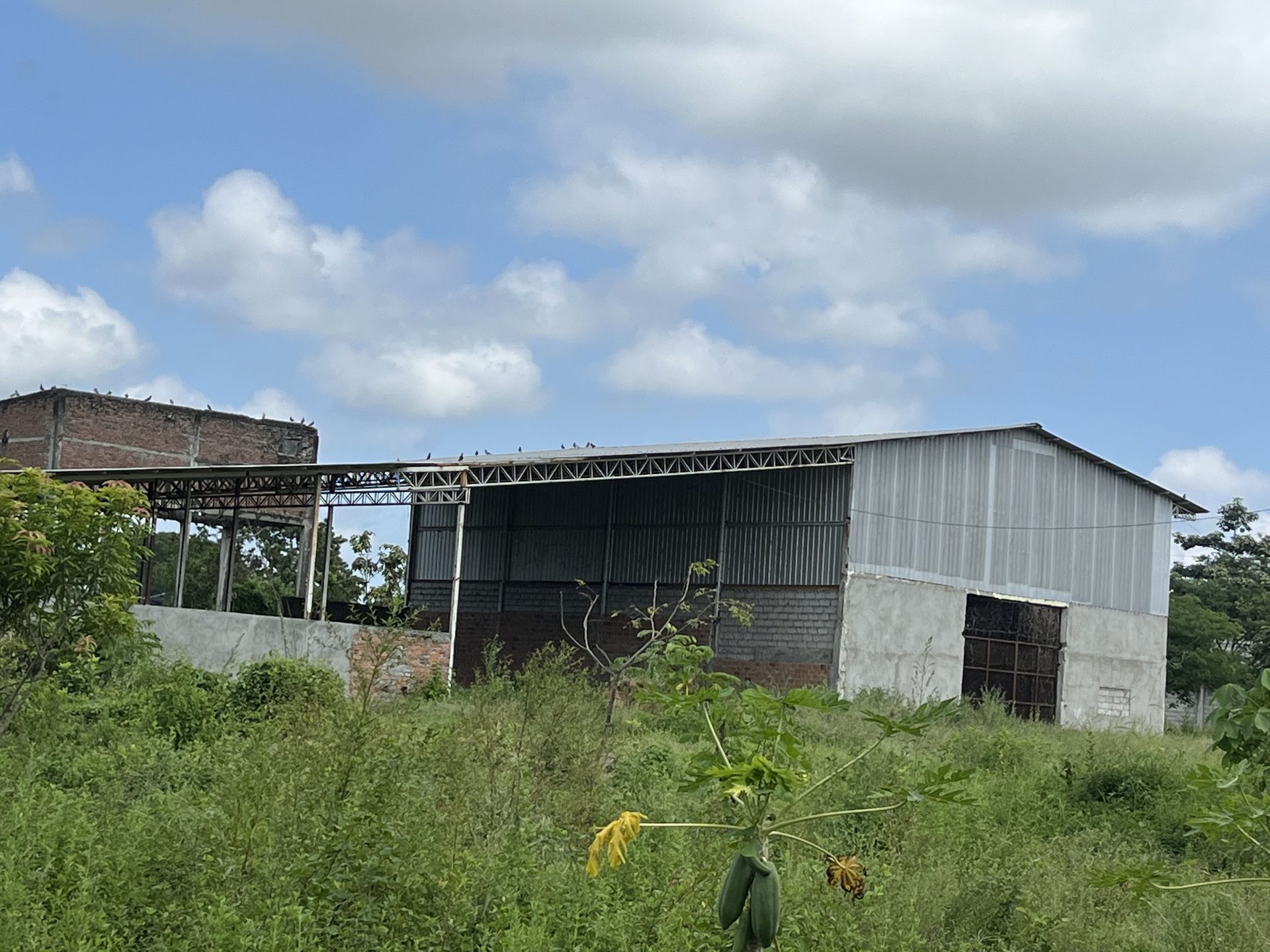 Predio agroindustrial en Santa Lucía - Guayas